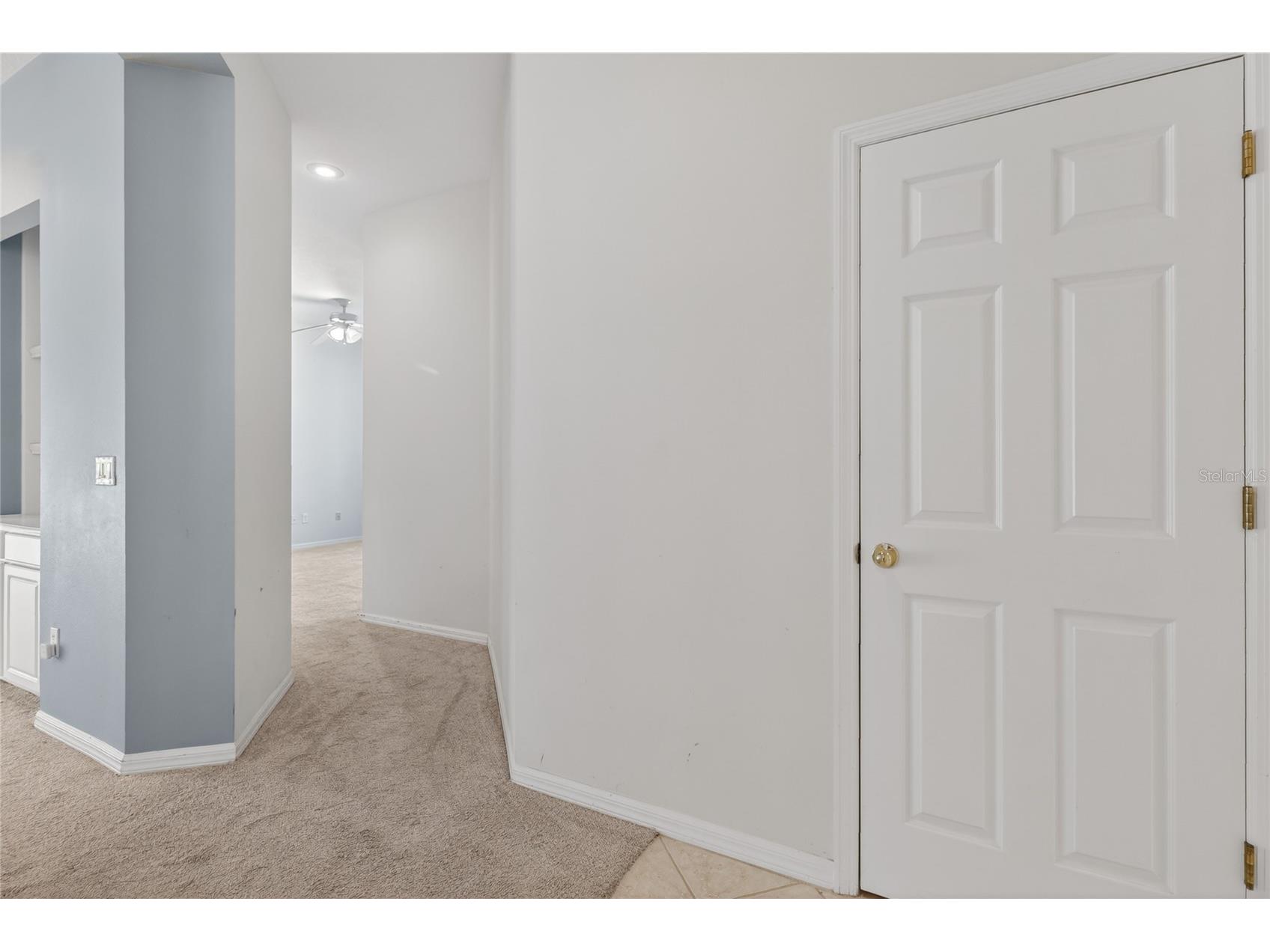 10206 Shadow Branch Drive Tampa FL 33647 TB8499414 image66