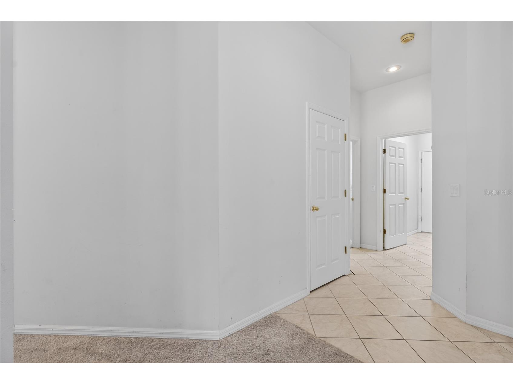 10206 Shadow Branch Drive Tampa FL 33647 TB8499414 image67