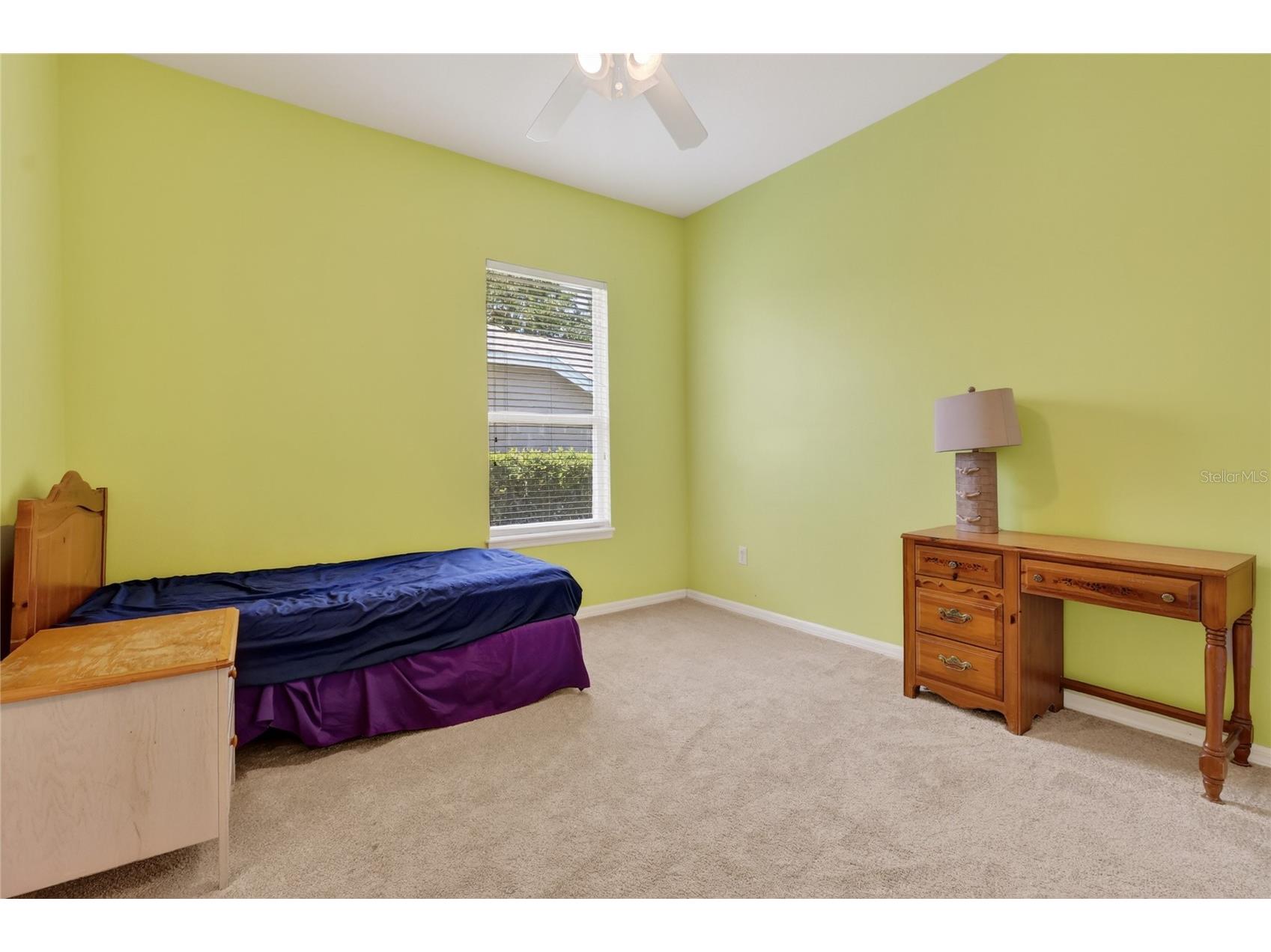 10206 Shadow Branch Drive Tampa FL 33647 TB8499414 image69
