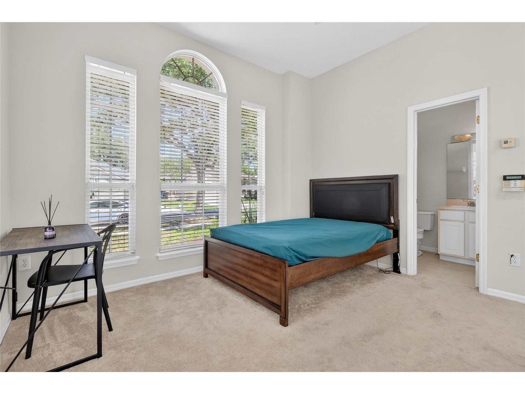 10206 Shadow Branch Drive Tampa FL 33647 TB8499414 image76