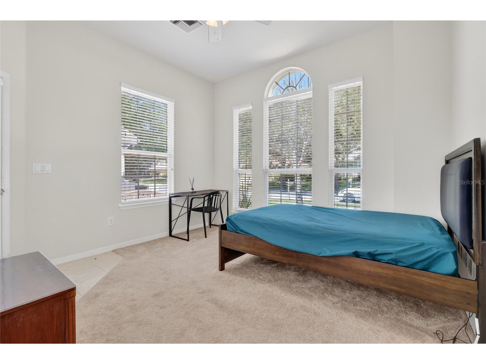 10206 Shadow Branch Drive Tampa FL 33647 TB8499414 image77