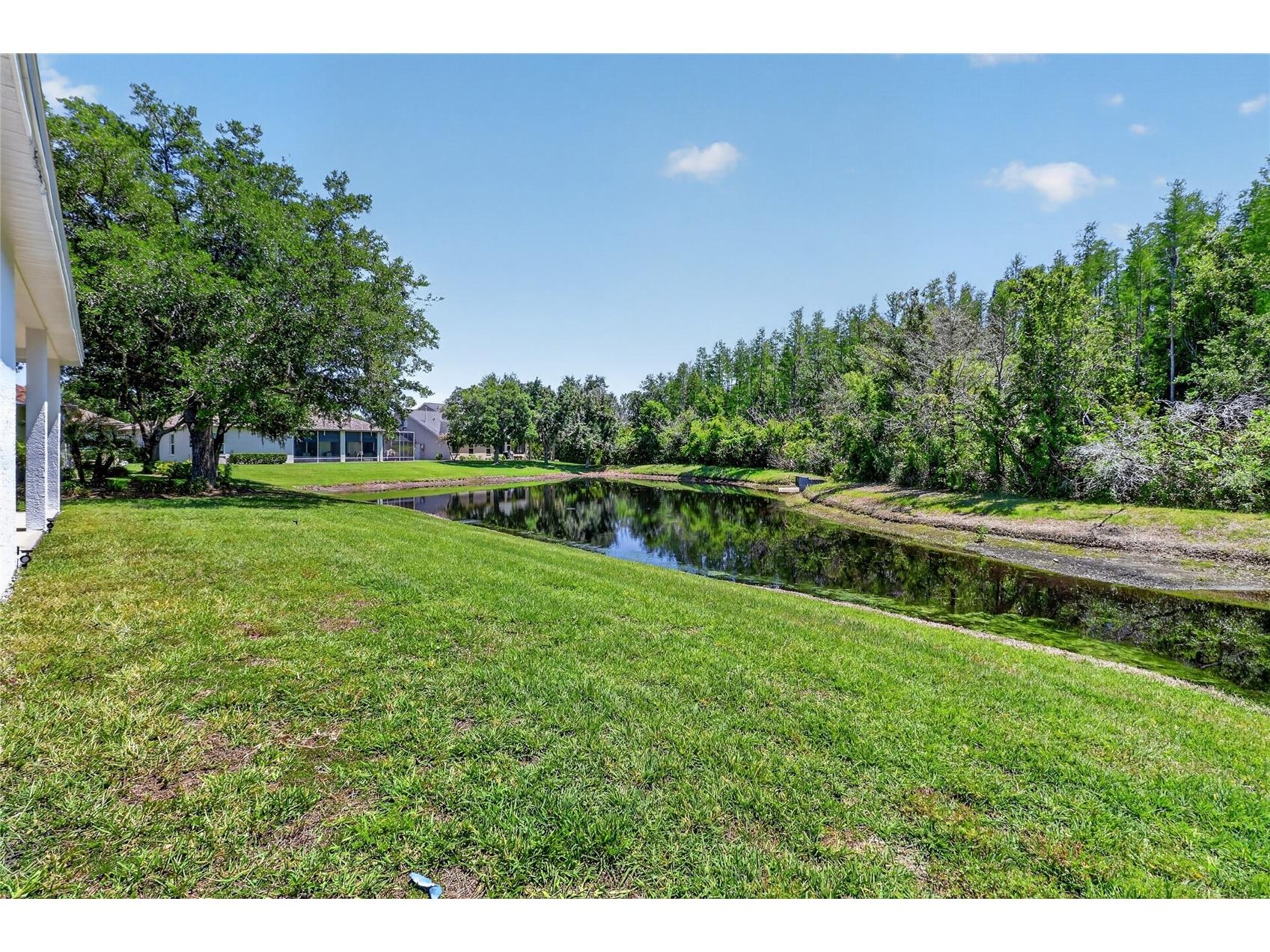 10206 Shadow Branch Drive Tampa FL 33647 TB8499414 image83