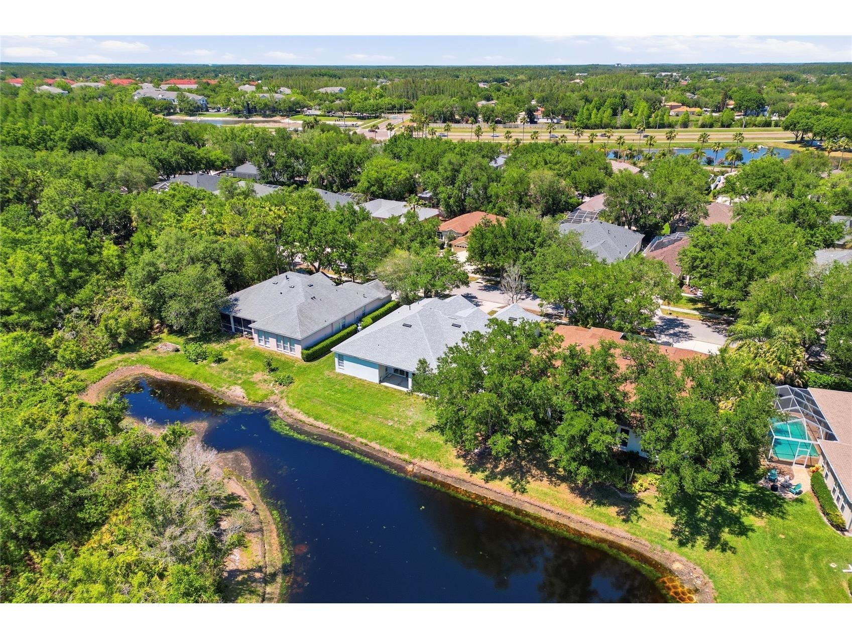 10206 Shadow Branch Drive Tampa FL 33647 TB8499414 image85