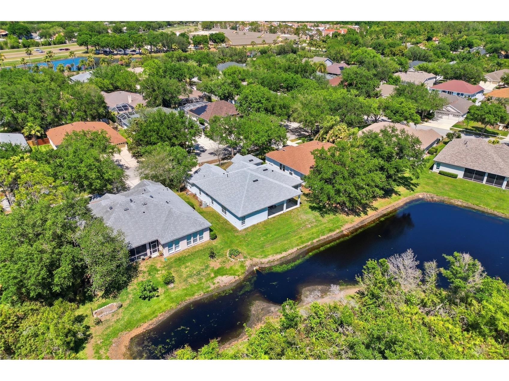 10206 Shadow Branch Drive Tampa FL 33647 TB8499414 image86