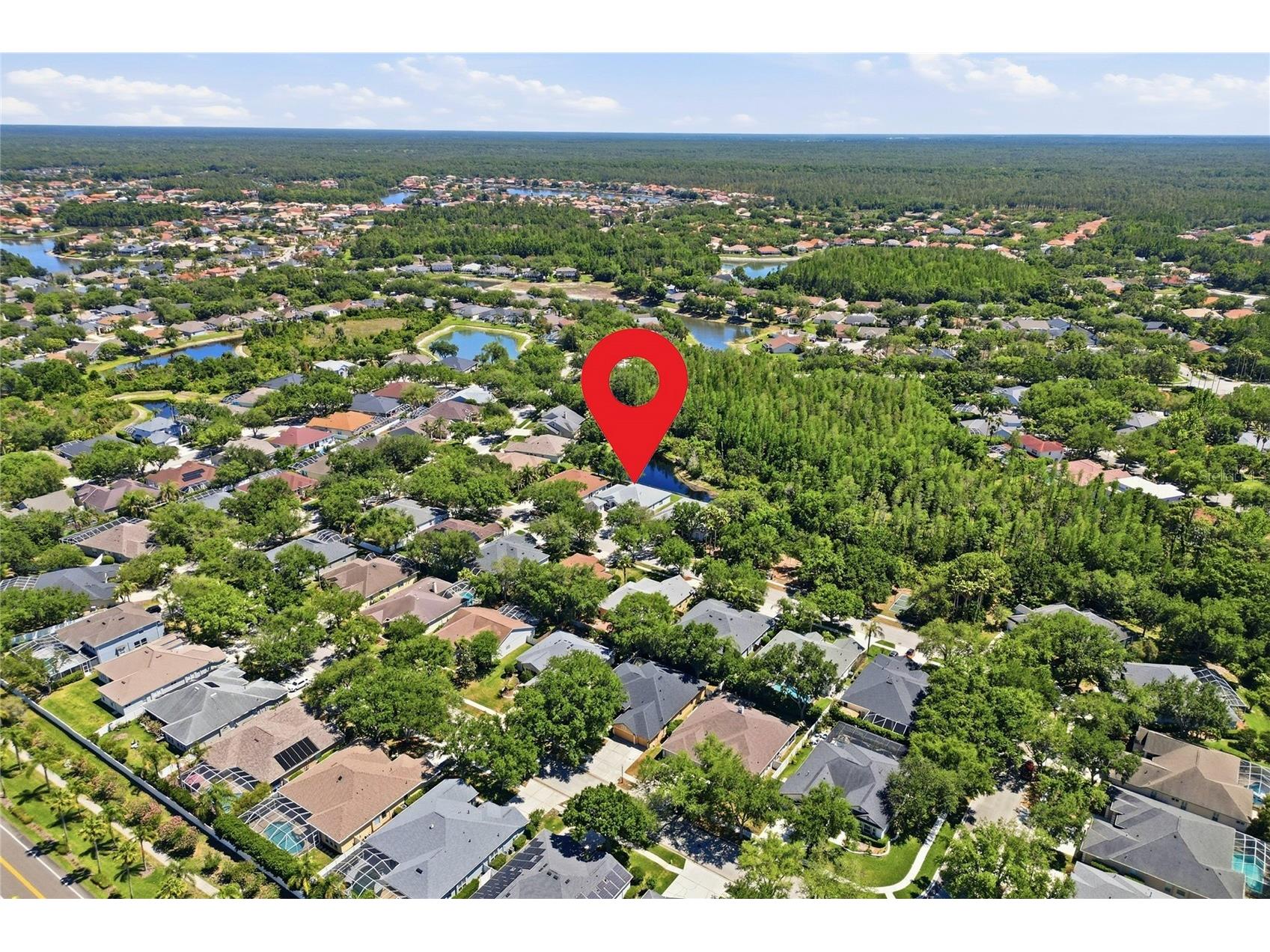 10206 Shadow Branch Drive Tampa FL 33647 TB8499414 image87