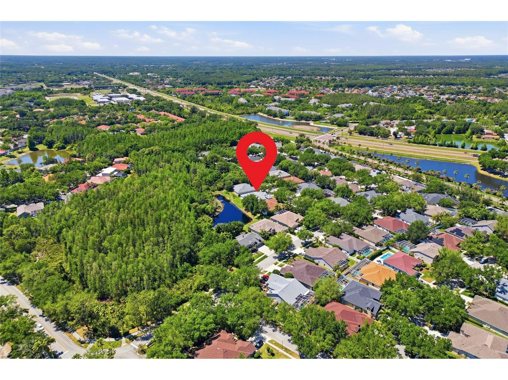 10206 Shadow Branch Drive Tampa FL 33647 TB8499414 image88