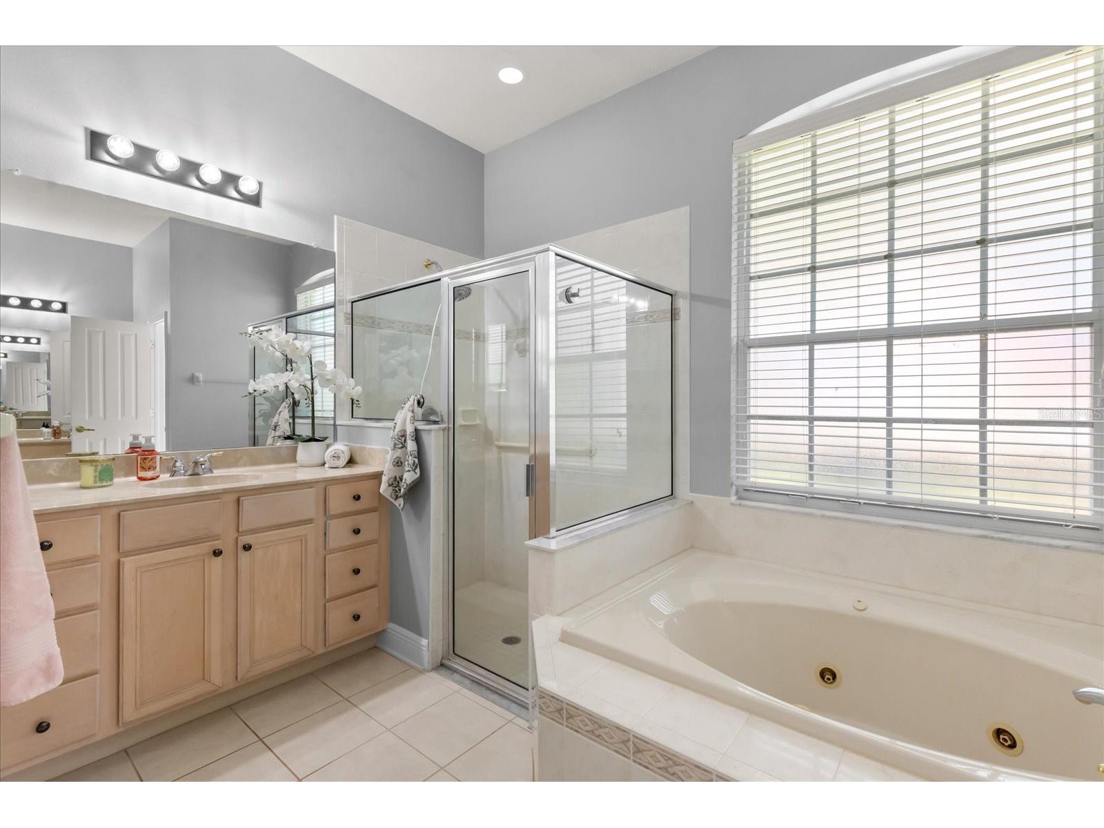 10207 Arbor Side Drive Tampa FL 33647 O6392696 image17