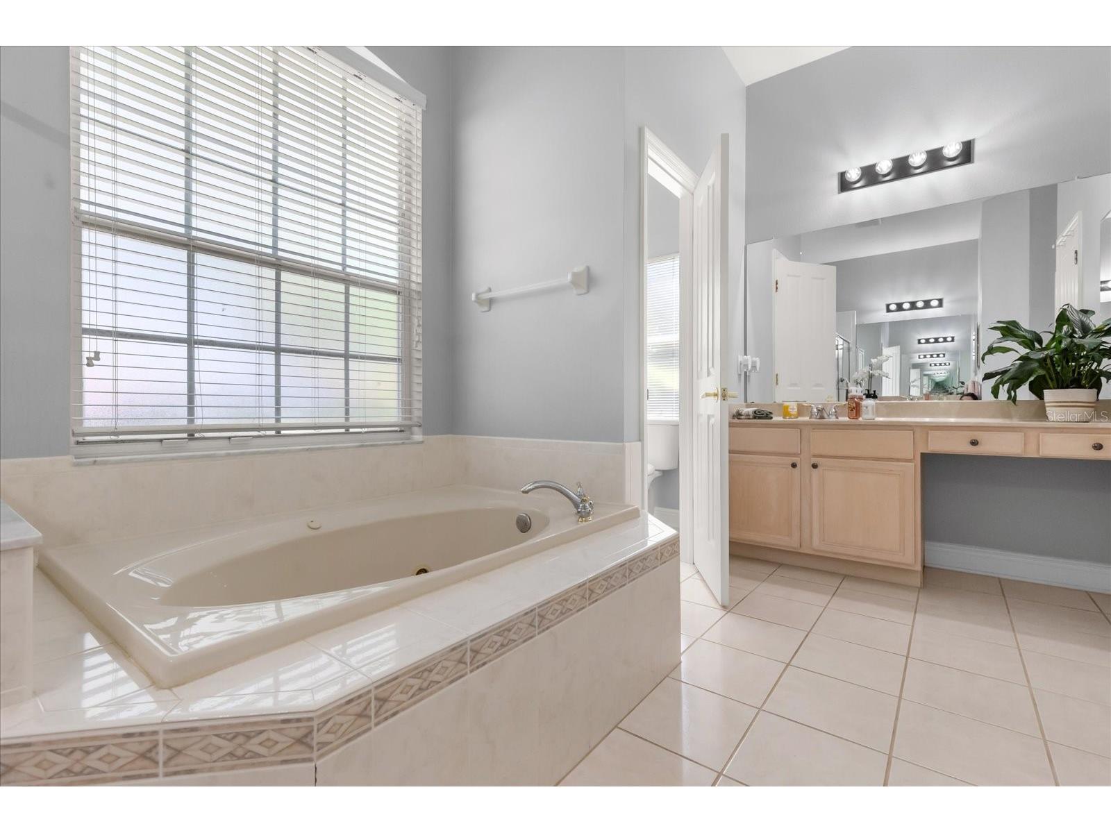 10207 Arbor Side Drive Tampa FL 33647 O6392696 image18