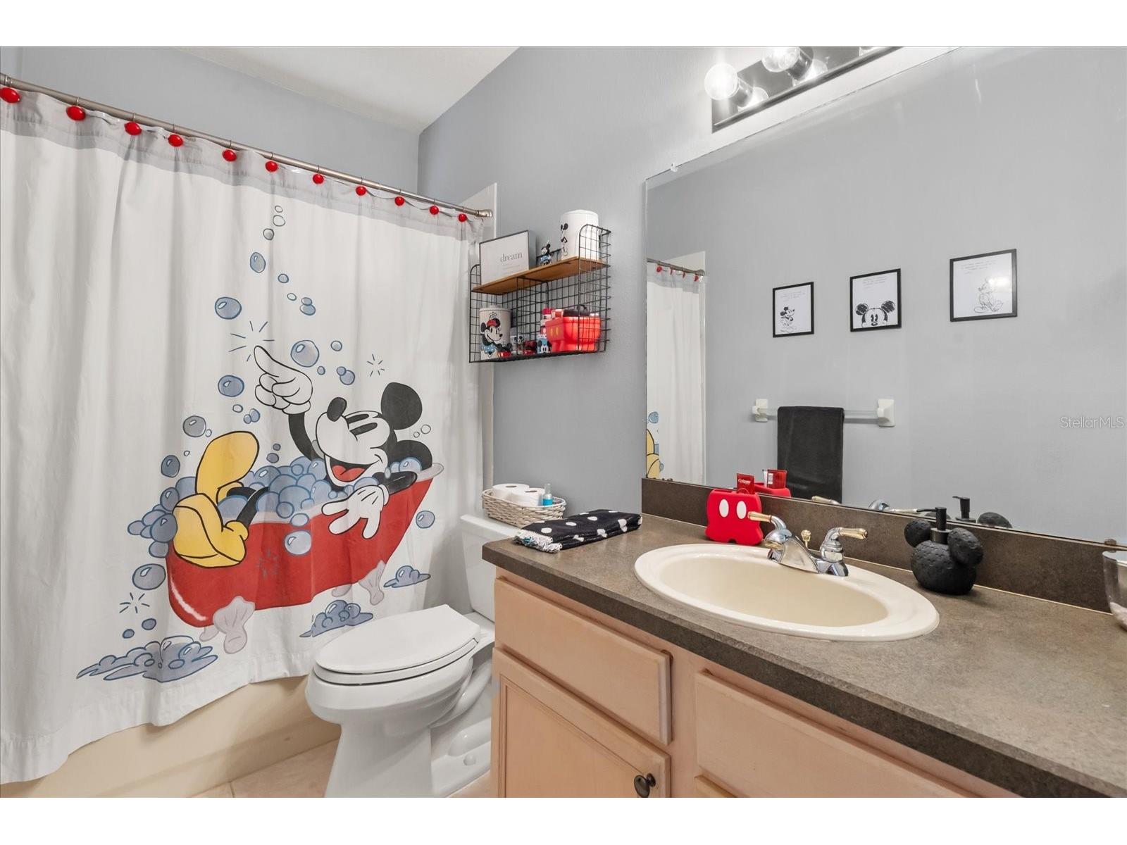 10207 Arbor Side Drive Tampa FL 33647 O6392696 image22