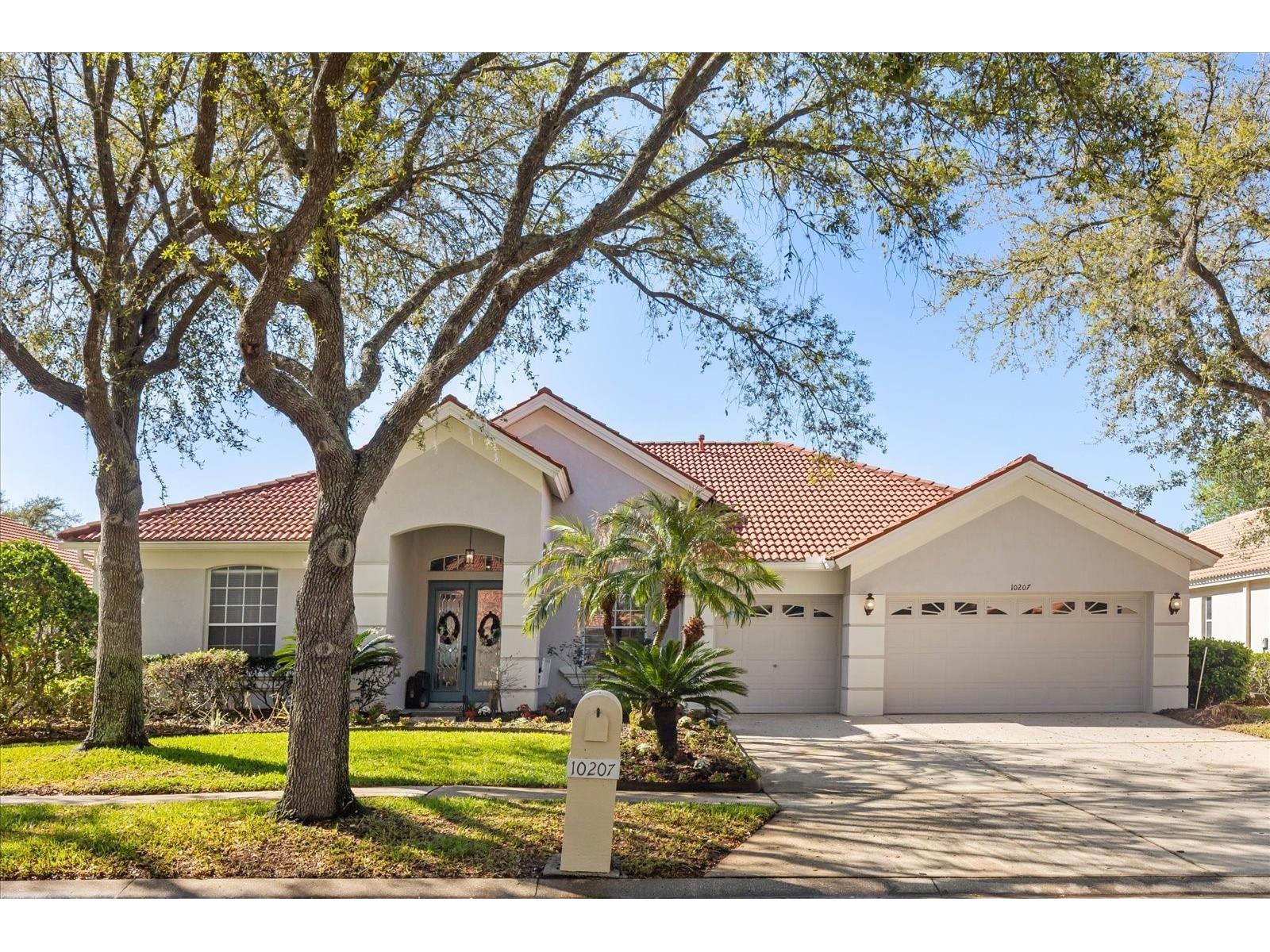 10207 Arbor Side Drive Tampa FL 33647 O6392696 image37