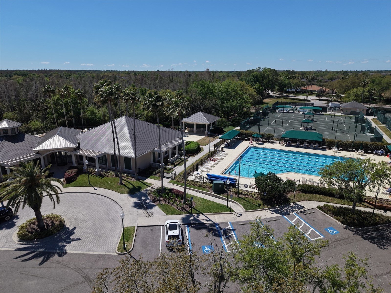 10207 Arbor Side Drive Tampa FL 33647 O6392696 image41