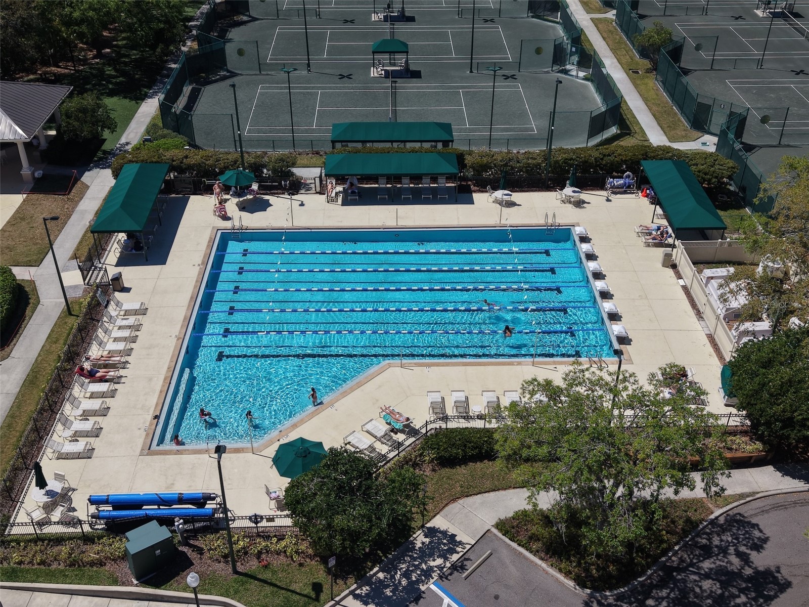 10207 Arbor Side Drive Tampa FL 33647 O6392696 image44