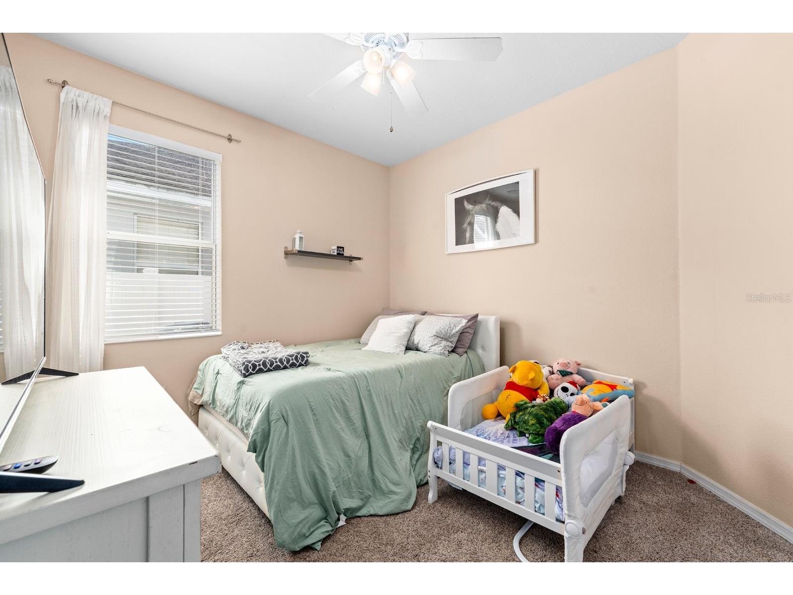 10207 Avelar Ridge Drive Riverview FL 33578 TB8482687 image15