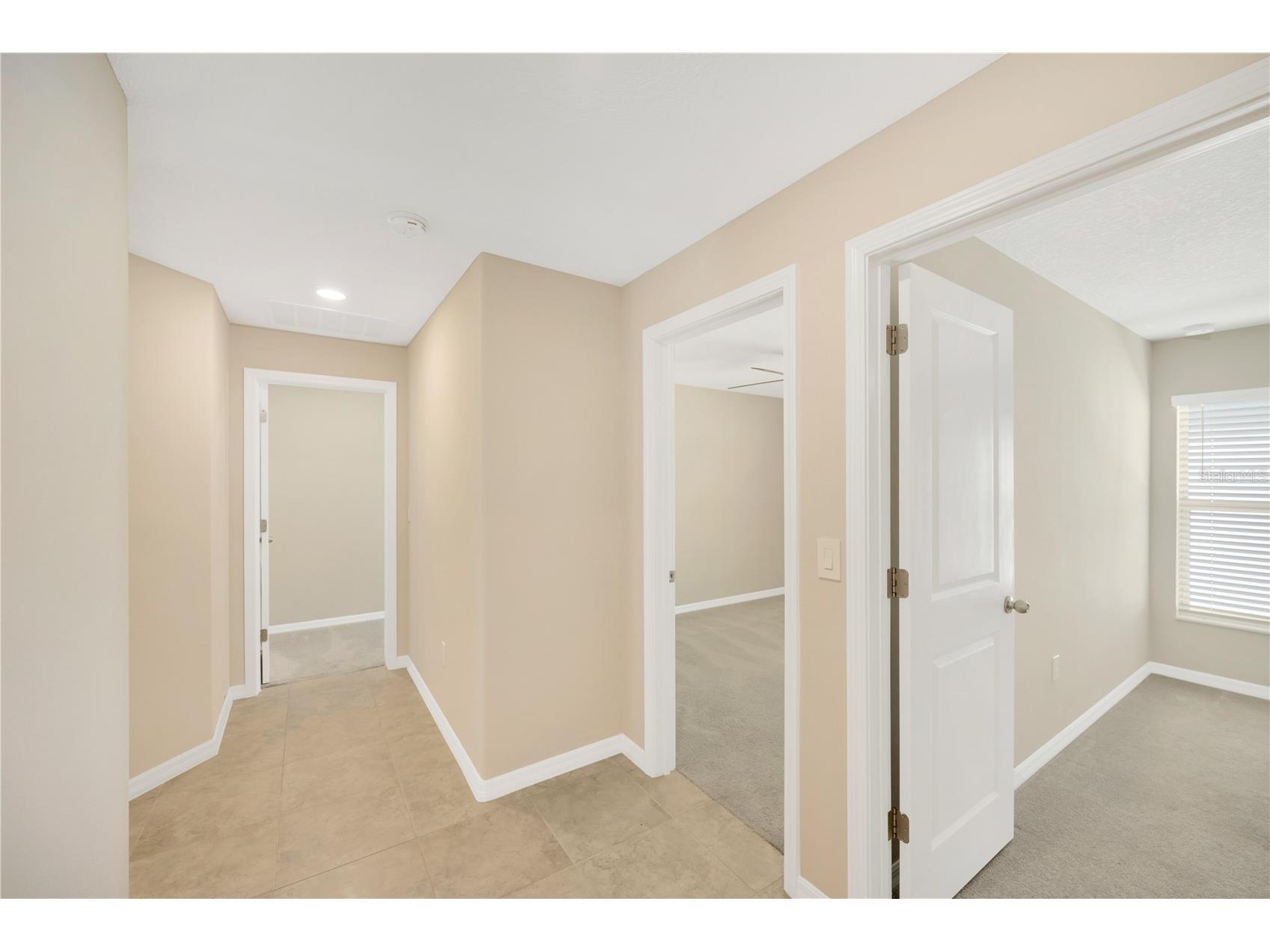 10207 Cakebread Lane Riverview FL 33578 TB8494415 image16