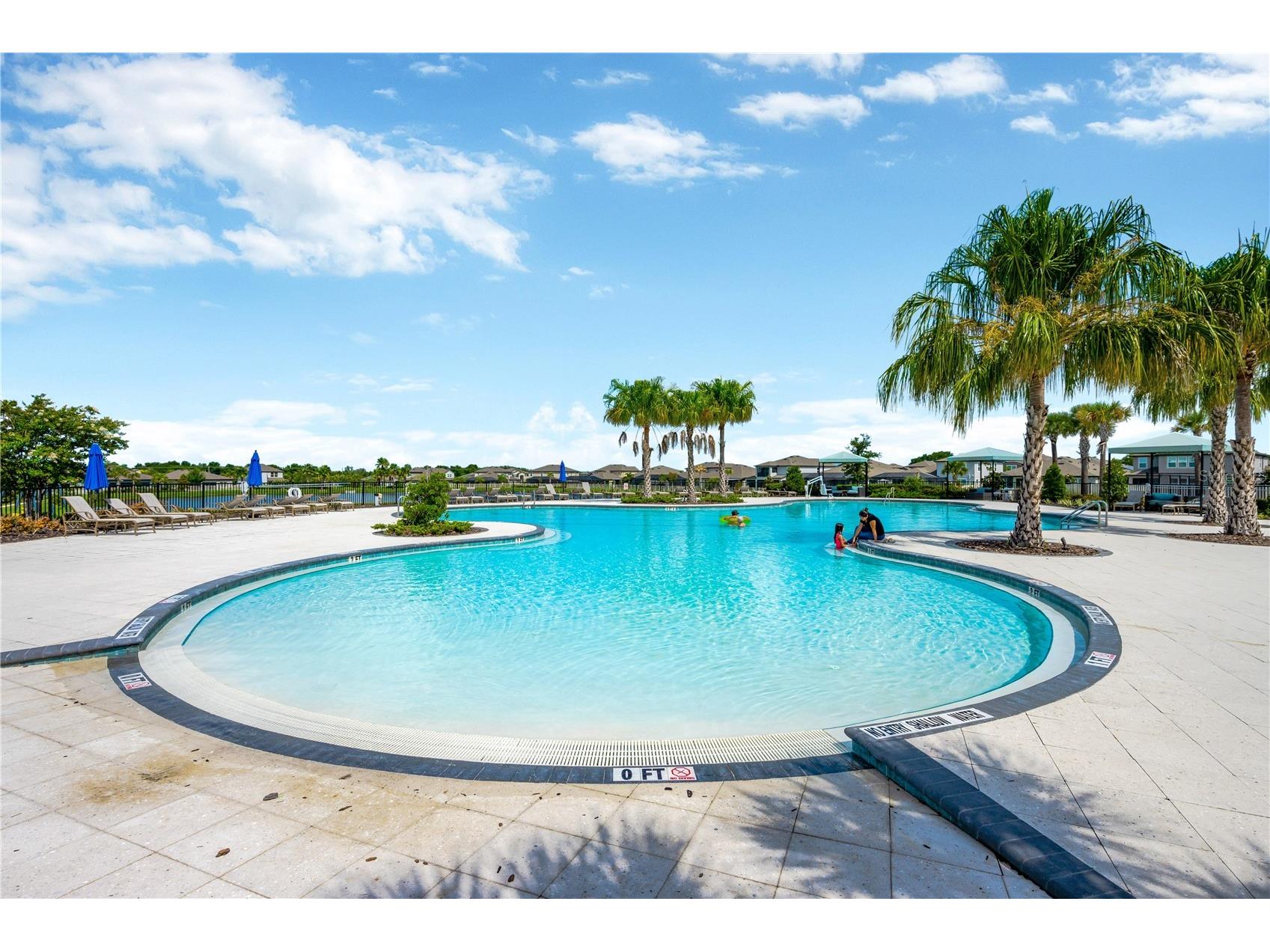 10207 Cakebread Lane Riverview FL 33578 TB8494415 image46