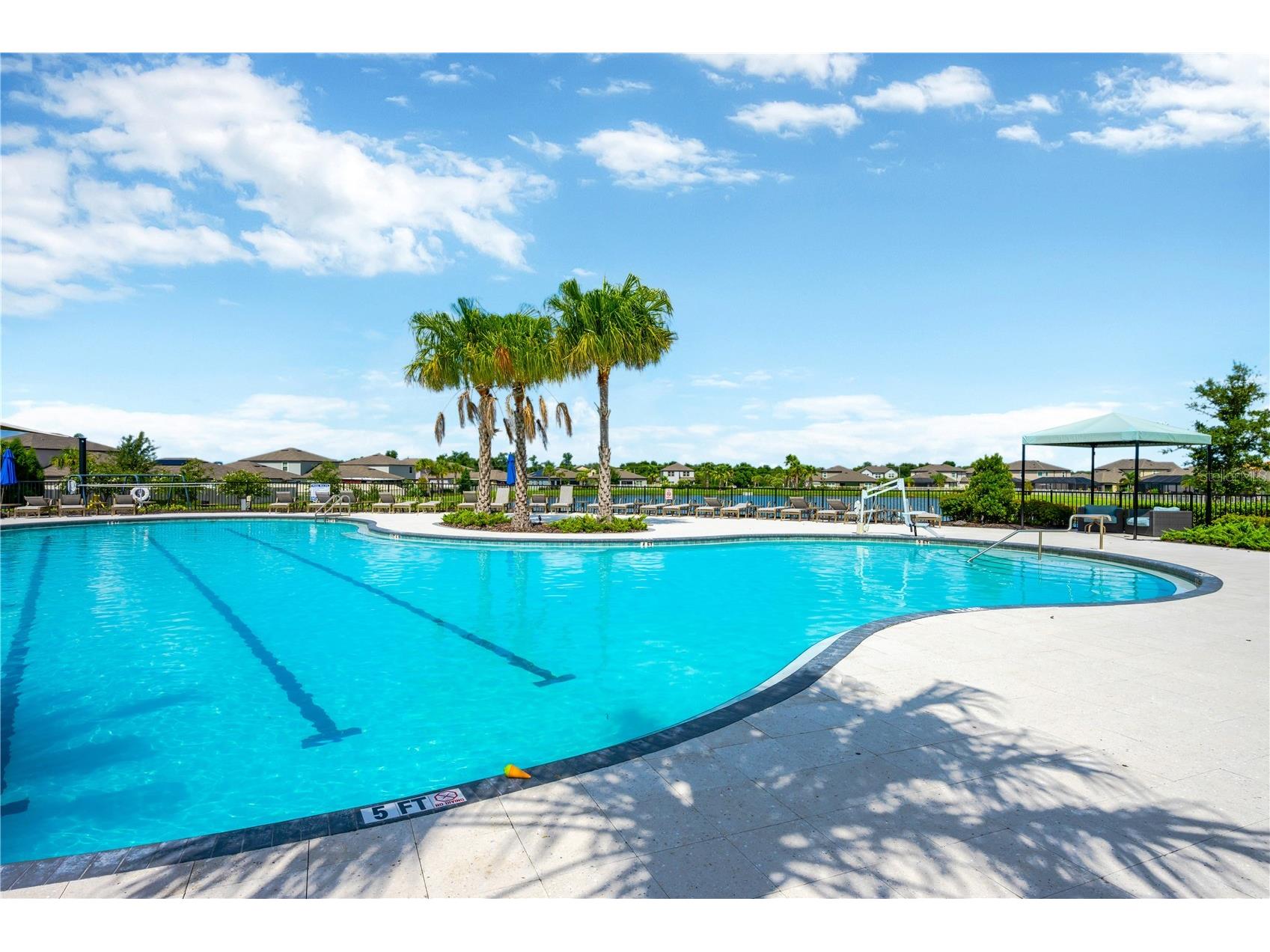 10207 Cakebread Lane Riverview FL 33578 TB8494415 image48