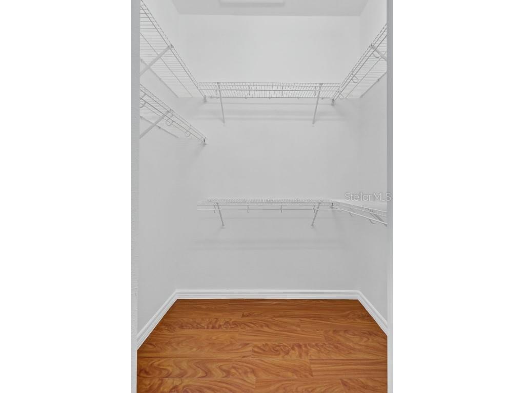 10207 Deercliff Drive Tampa FL 33647 O6351283 image20