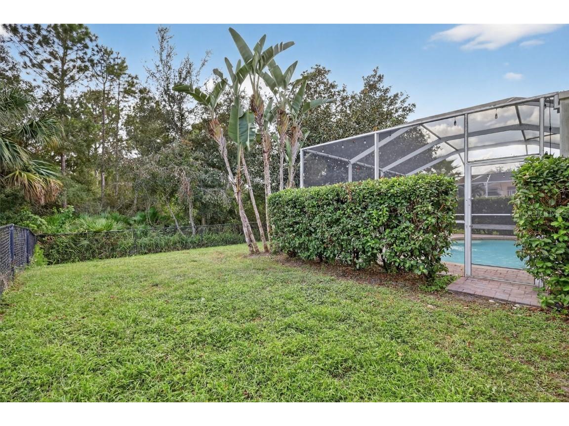 10207 Deercliff Drive Tampa FL 33647 O6351283 image36