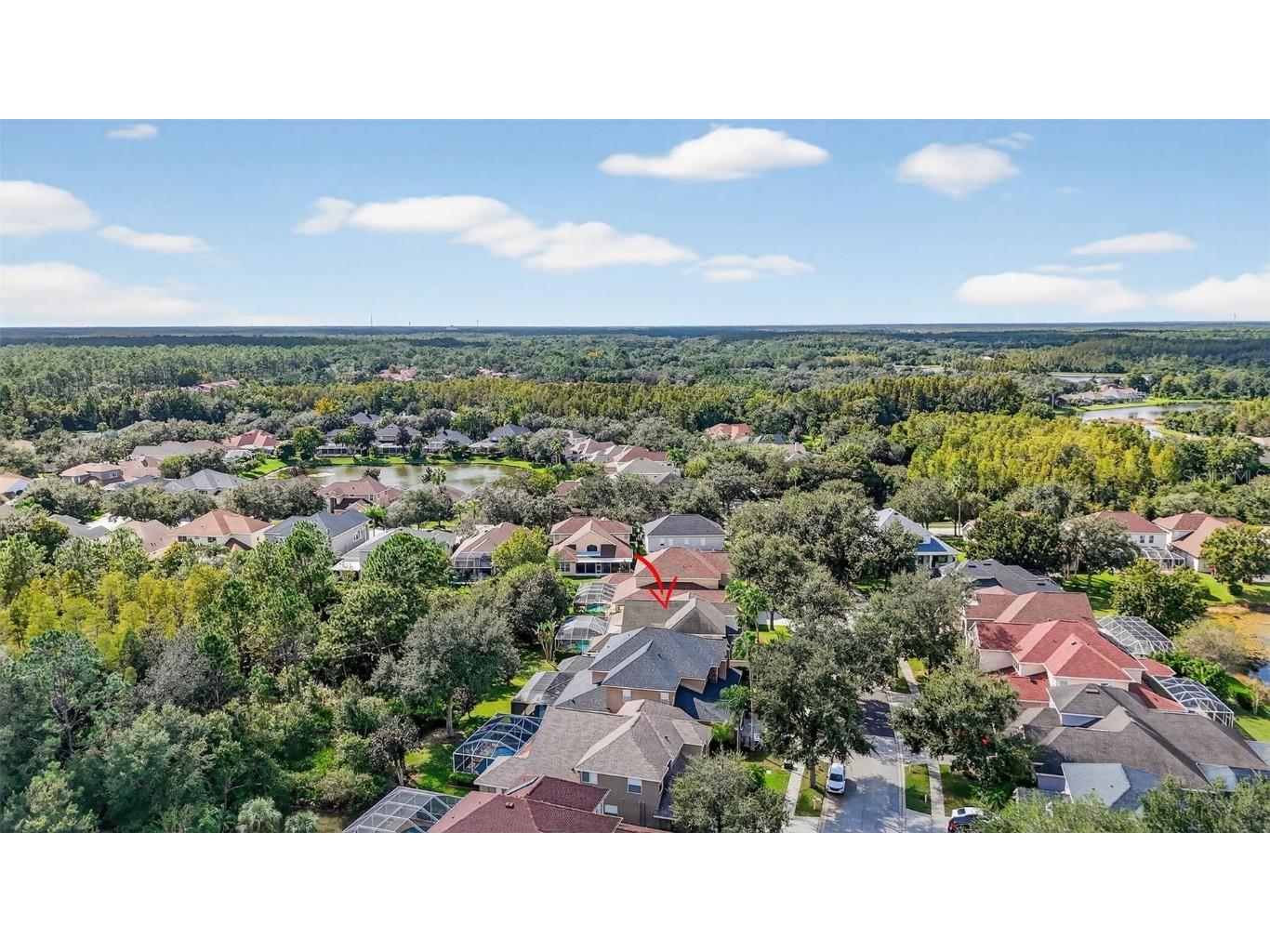 10207 Deercliff Drive Tampa FL 33647 O6351283 image42