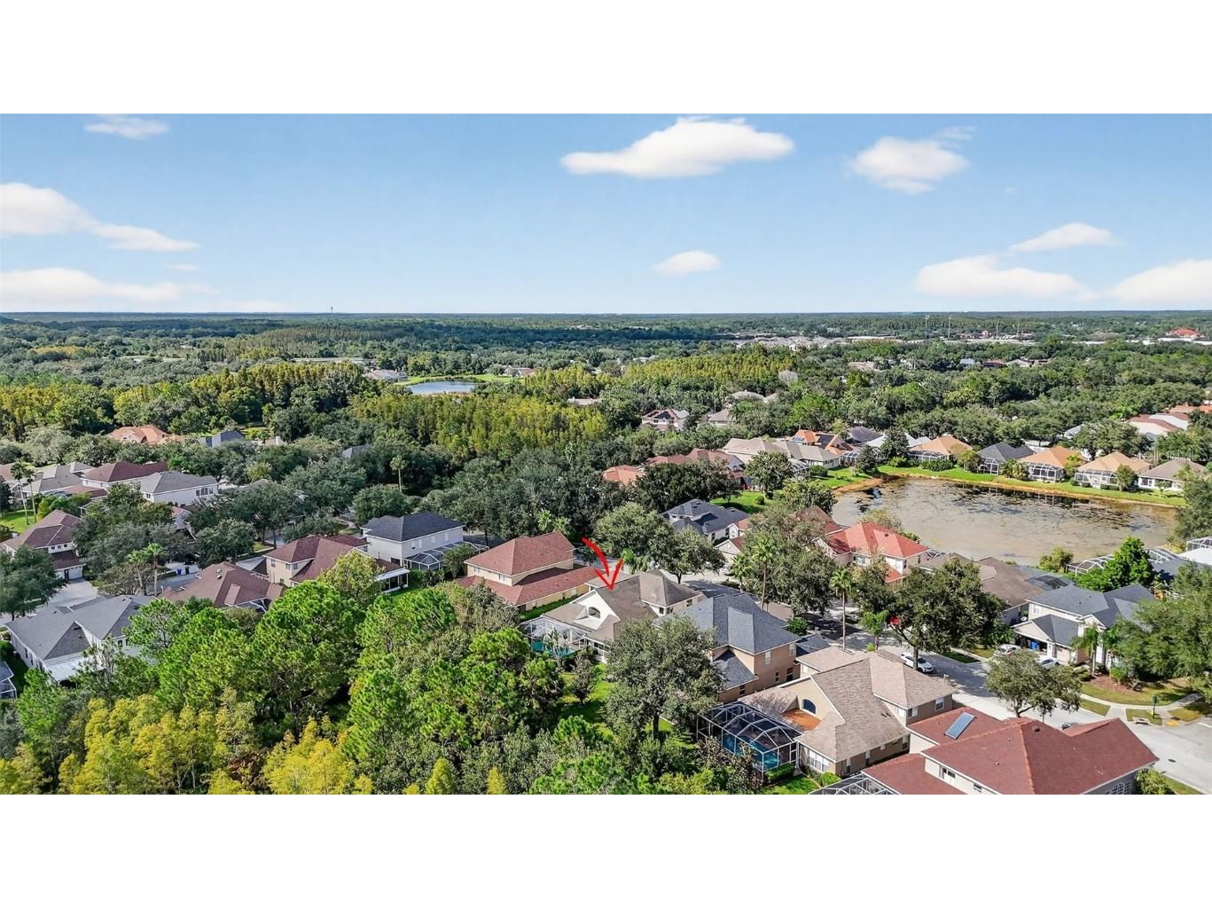 10207 Deercliff Drive Tampa FL 33647 O6351283 image43