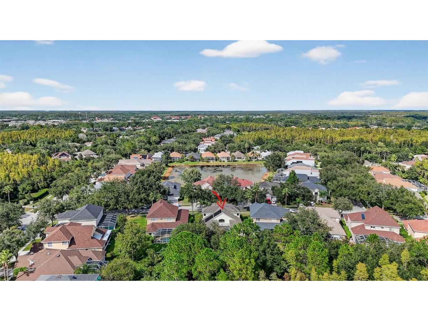 10207 Deercliff Drive Tampa FL 33647 O6351283 image44