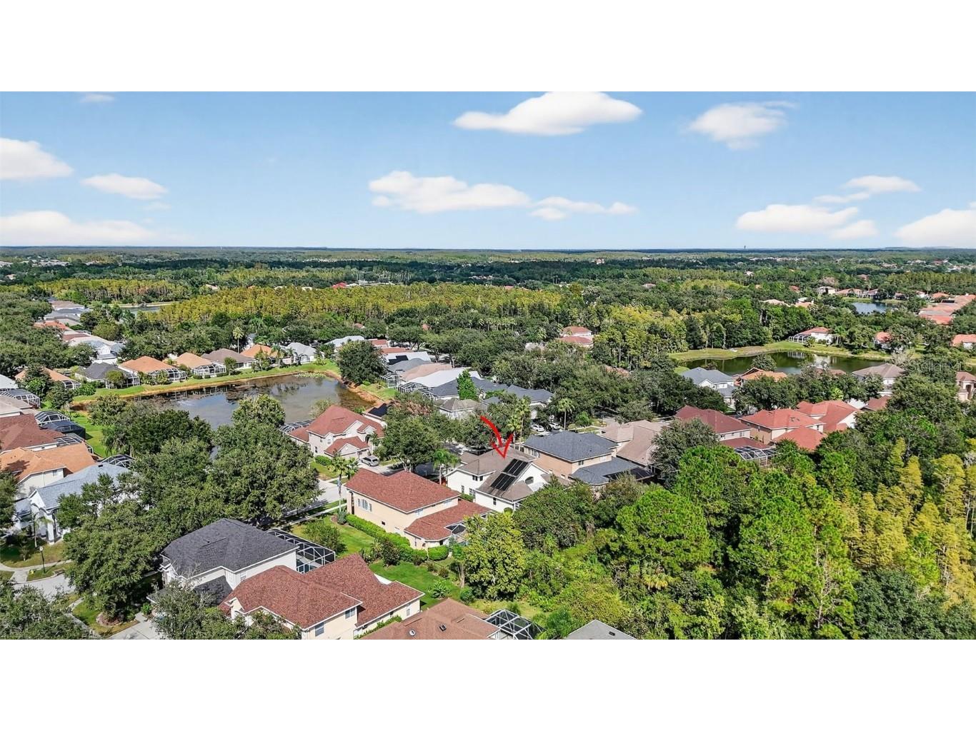 10207 Deercliff Drive Tampa FL 33647 O6351283 image45