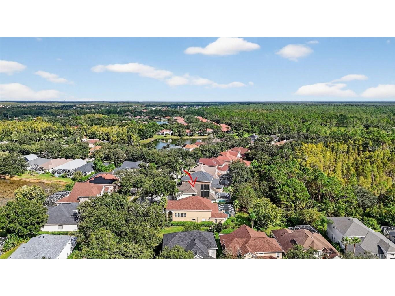 10207 Deercliff Drive Tampa FL 33647 O6351283 image46