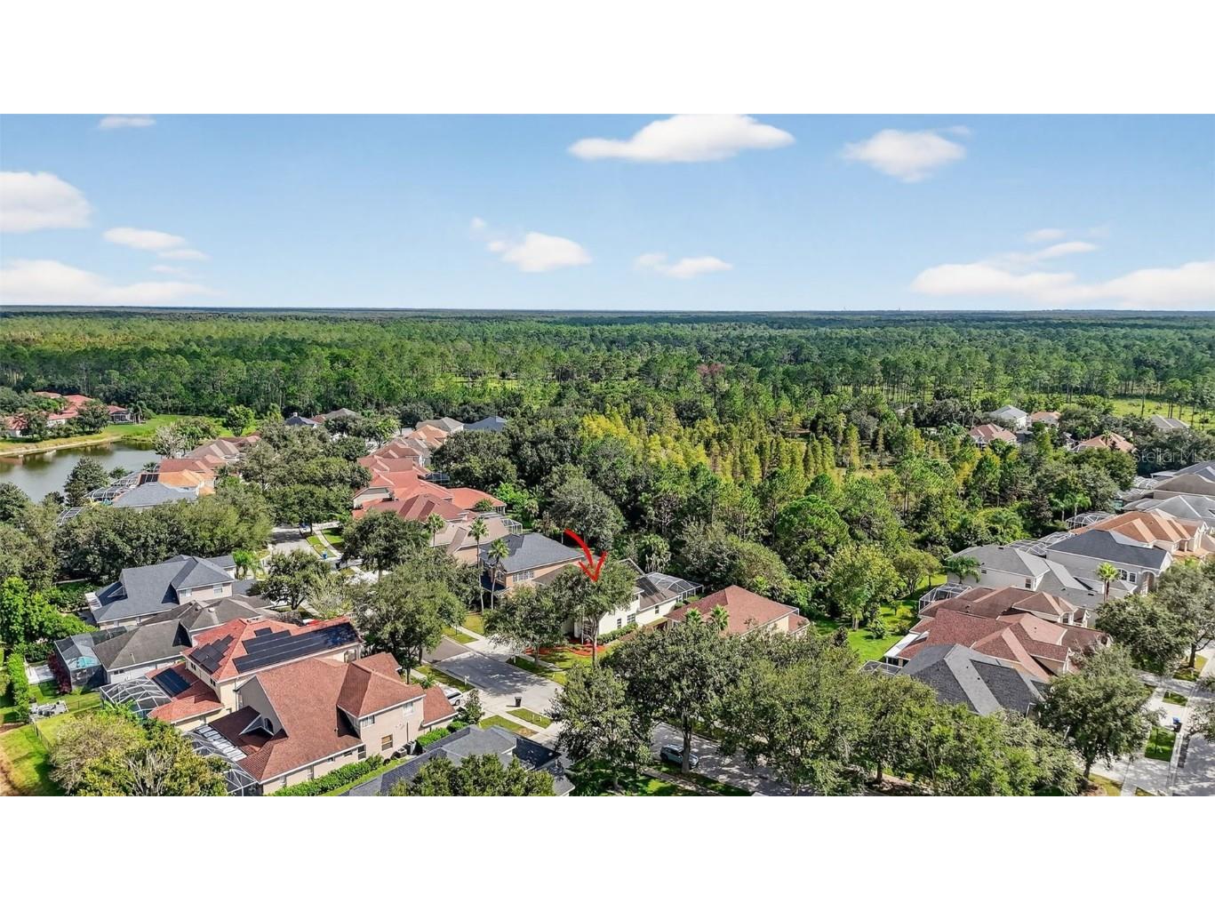 10207 Deercliff Drive Tampa FL 33647 O6351283 image47