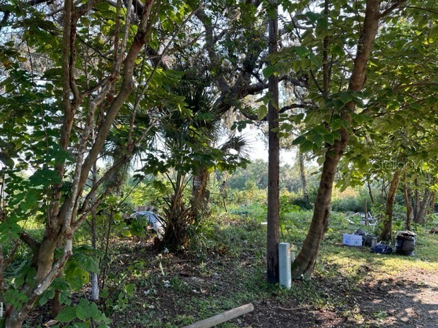 10207 E Pike Drive Inverness FL 34450 O6370617 image13