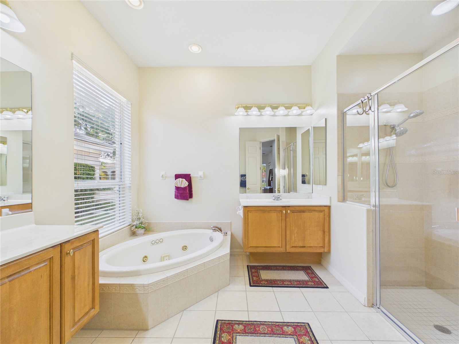 10207 Estuary Drive Tampa FL 33647 TB8500486 image41