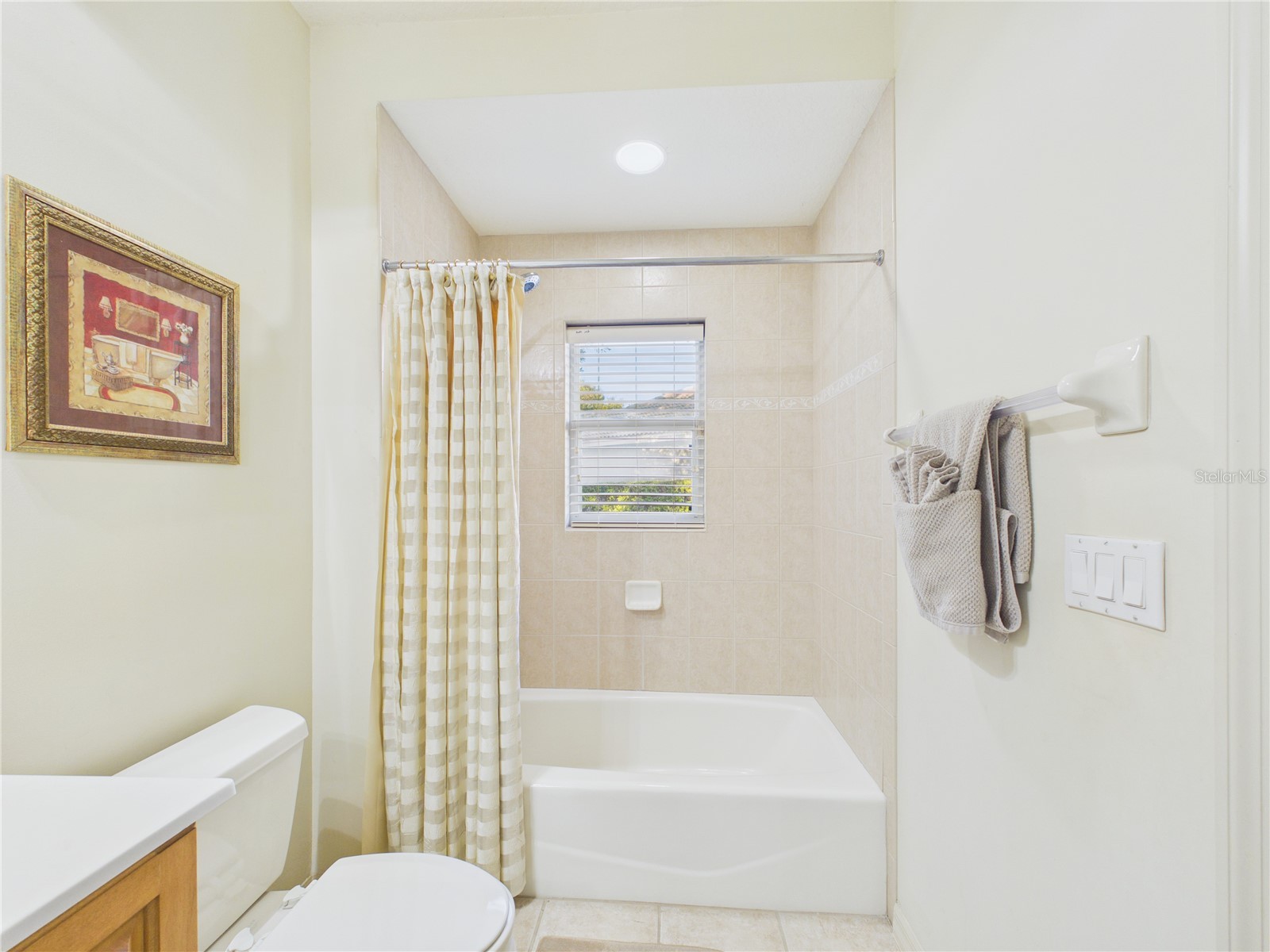 10207 Estuary Drive Tampa FL 33647 TB8500486 image47