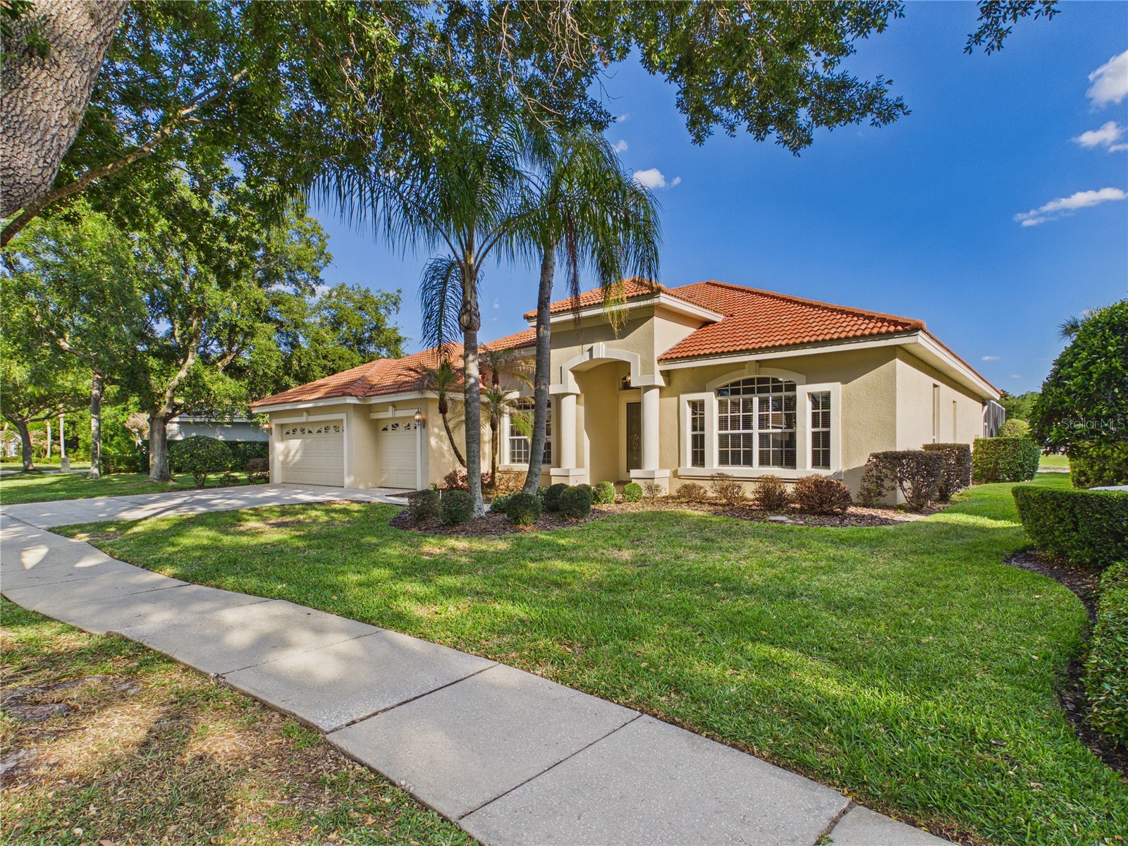 10207 Estuary Drive Tampa FL 33647 TB8500486 image5