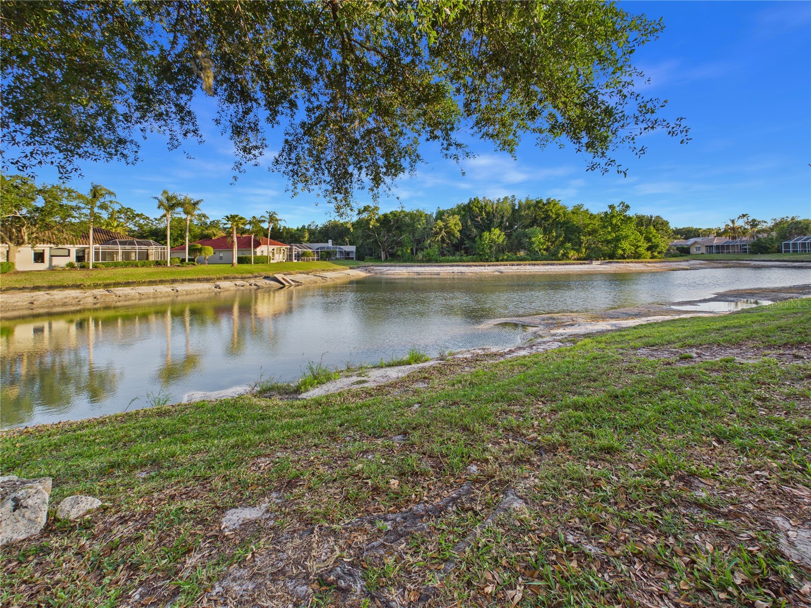 10207 Estuary Drive Tampa FL 33647 TB8500486 image82