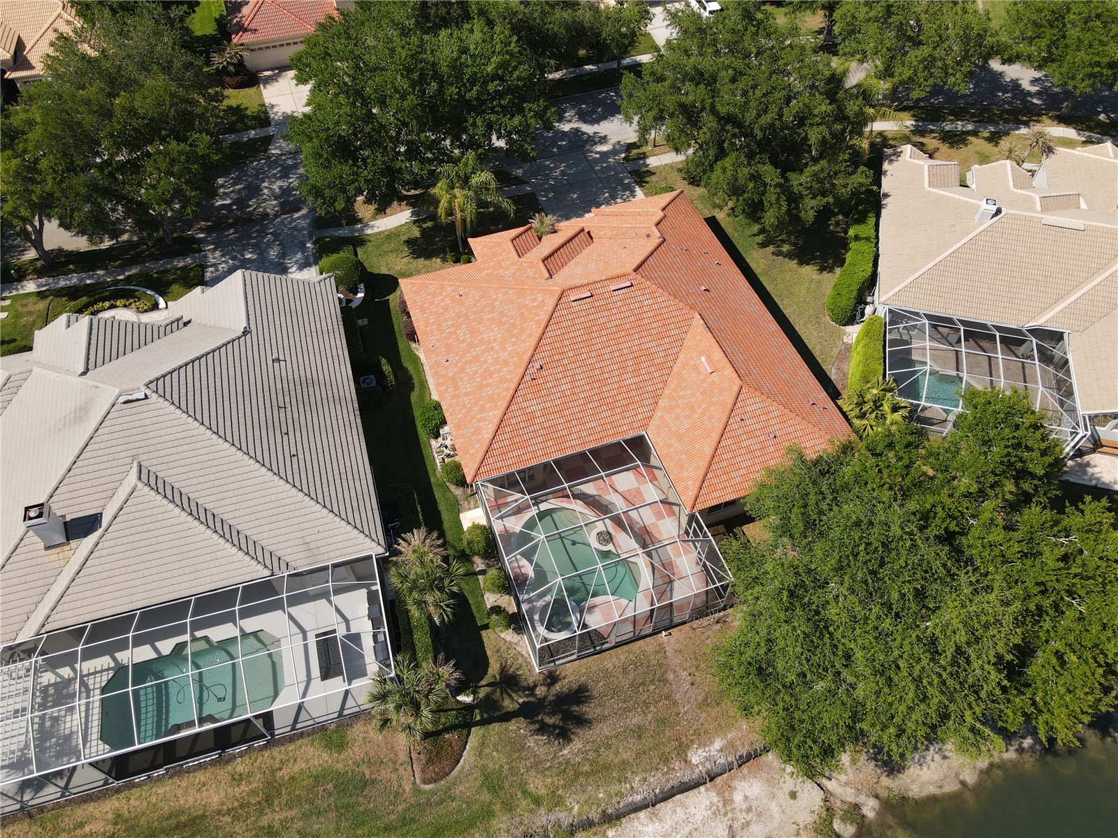 10207 Estuary Drive Tampa FL 33647 TB8500486 image84