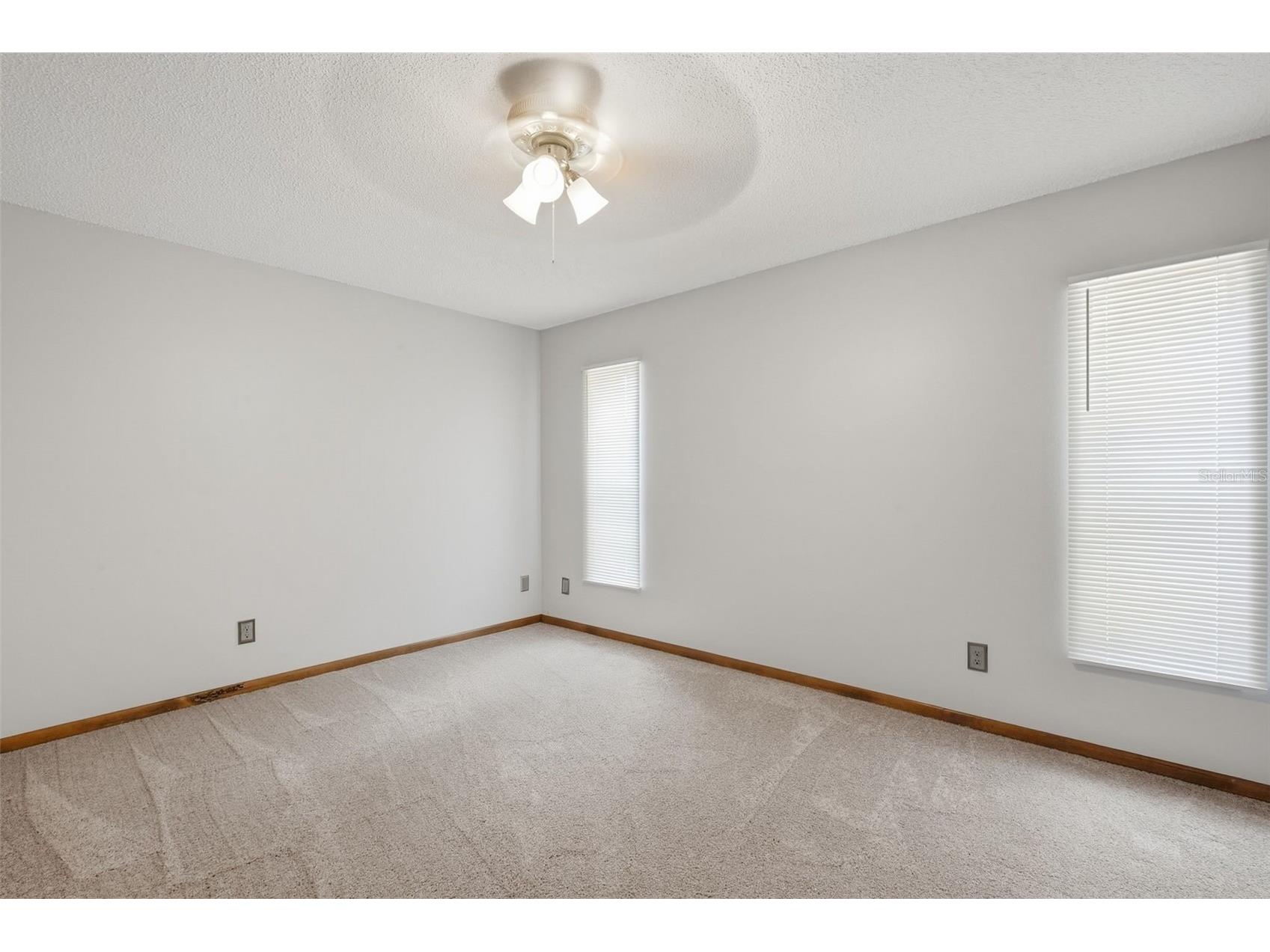 10207 N Hyaleah Road Tampa FL 33617 O6419934 image17
