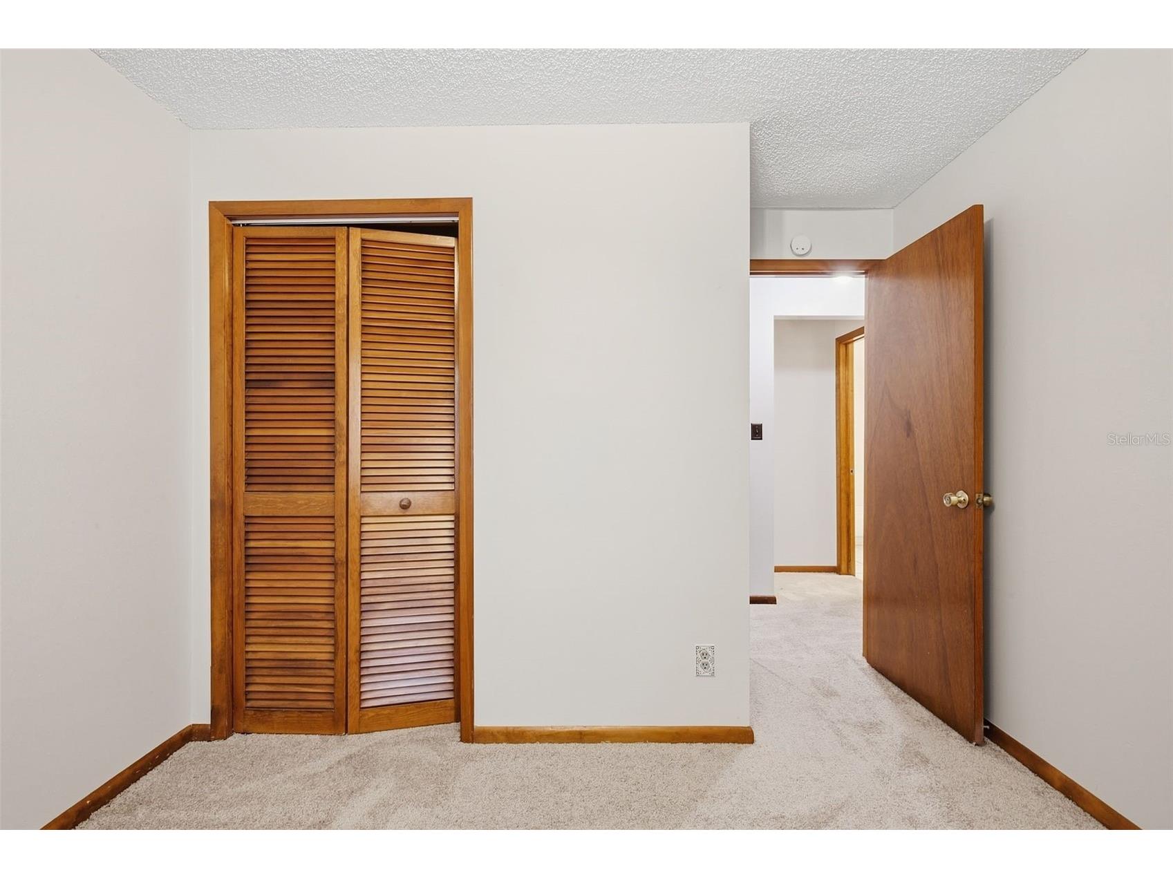 10207 N Hyaleah Road Tampa FL 33617 O6419934 image21