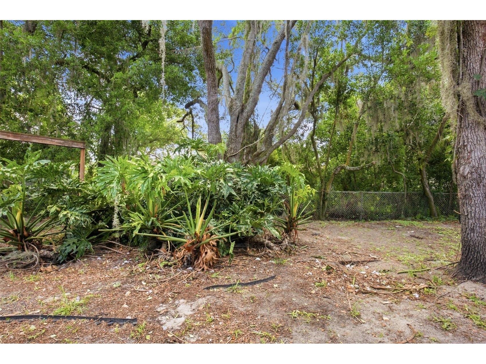 10207 N Hyaleah Road Tampa FL 33617 O6419934 image28