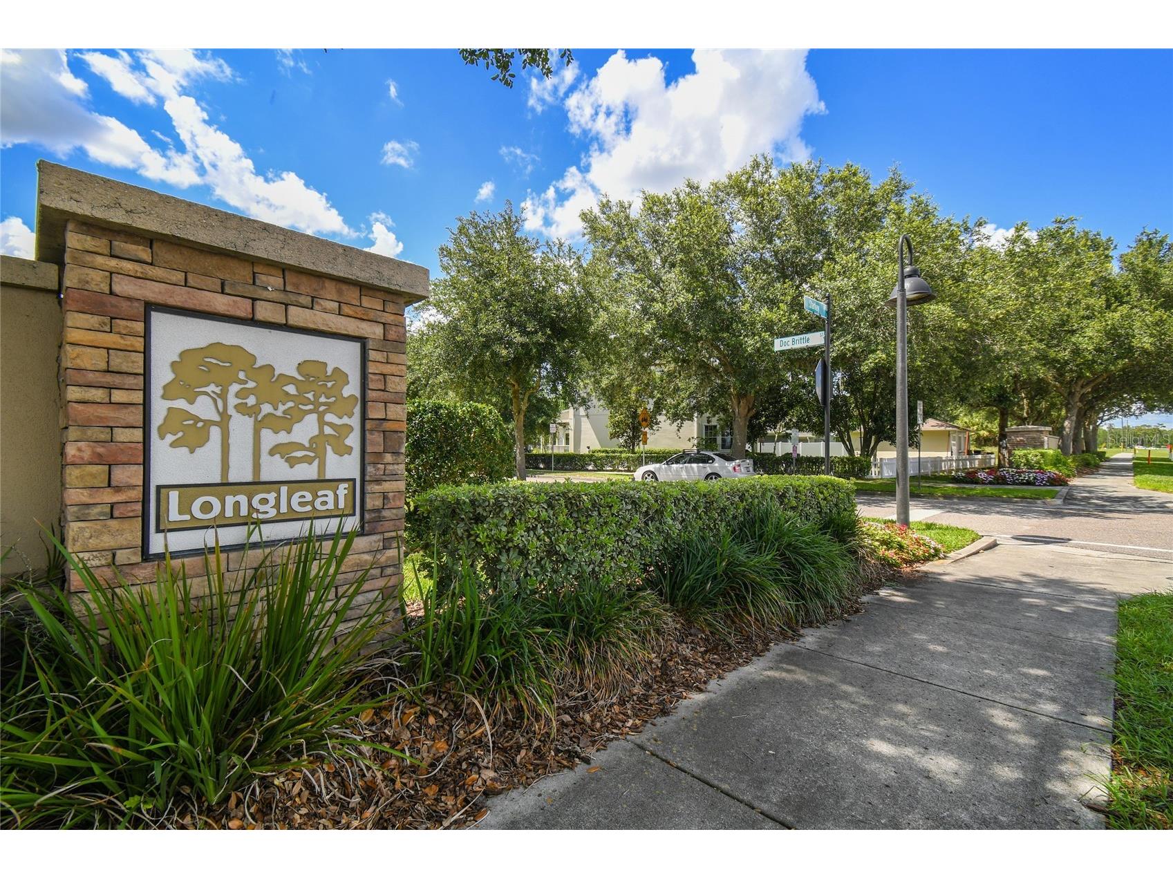 10207 Porch Street New Port Richey FL 34655 W7886851 image51