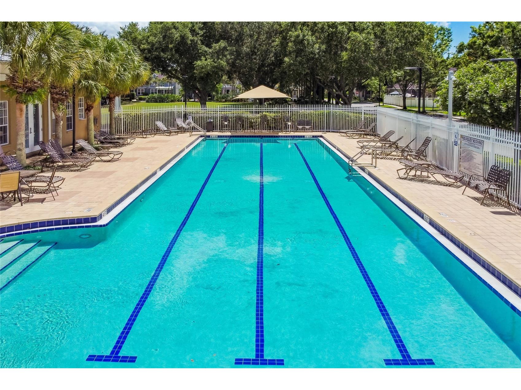 10207 Porch Street New Port Richey FL 34655 W7886851 image53