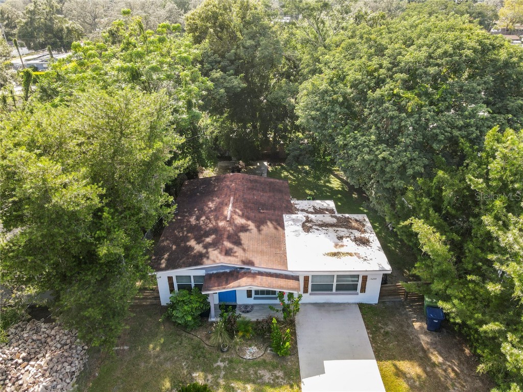 10208 Lola Street Tampa FL 33612 TB8428550 image37