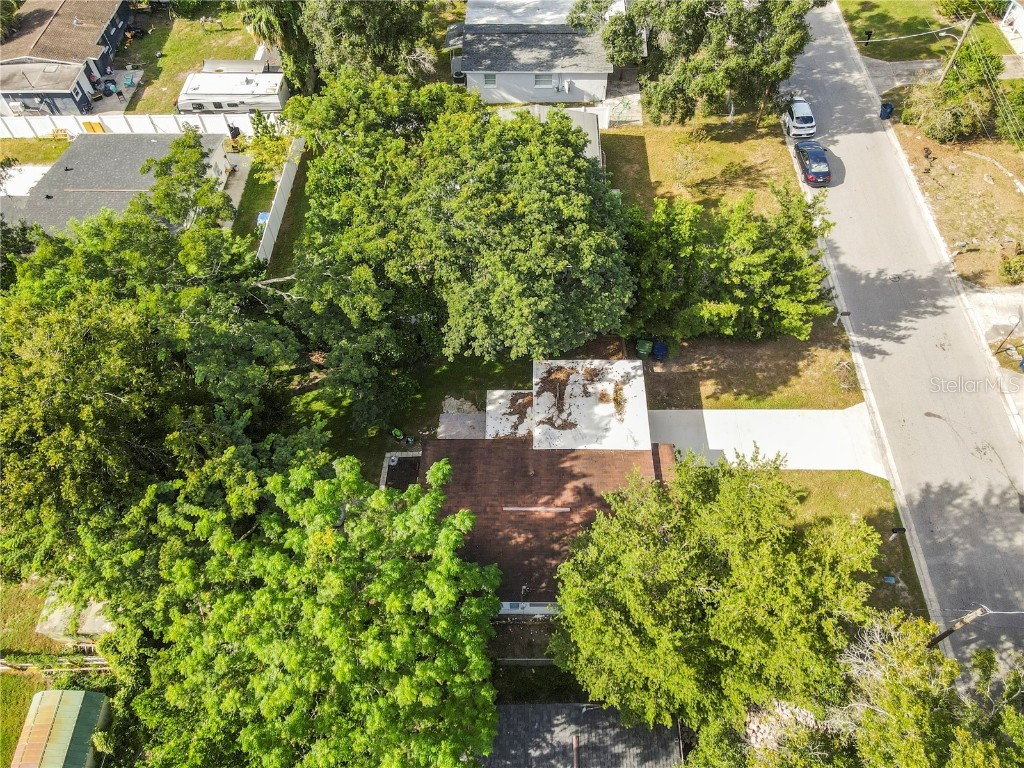 10208 Lola Street Tampa FL 33612 TB8428550 image40