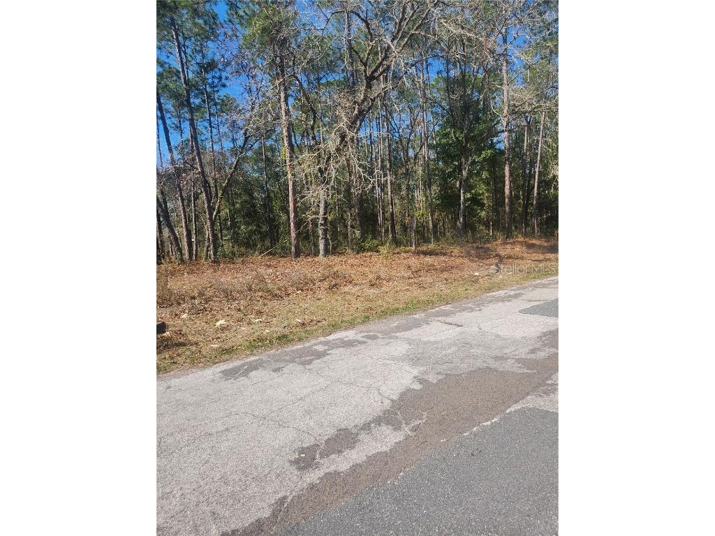 10208 N Biscayne Drive Citrus Springs FL 34434 U8229580 image1