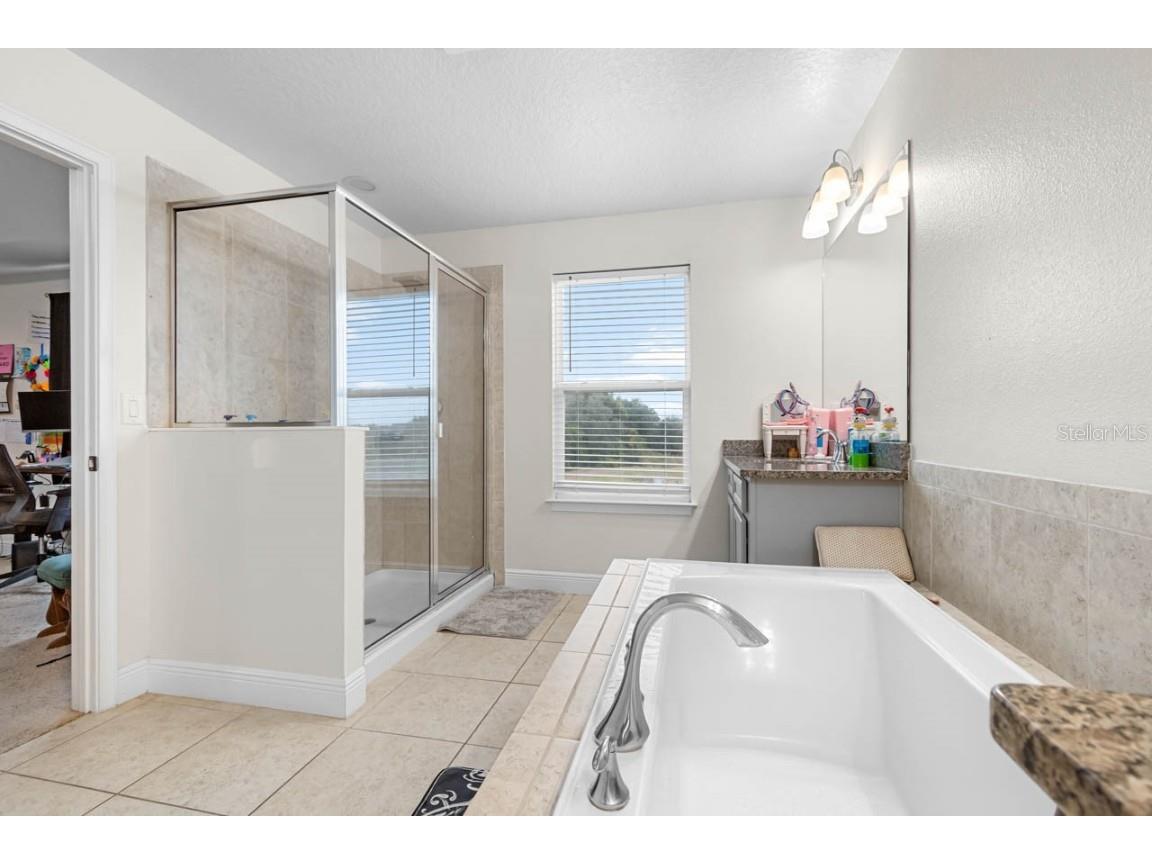 10208 Newel Valley Loop Riverview FL 33569 TB8442193 image20