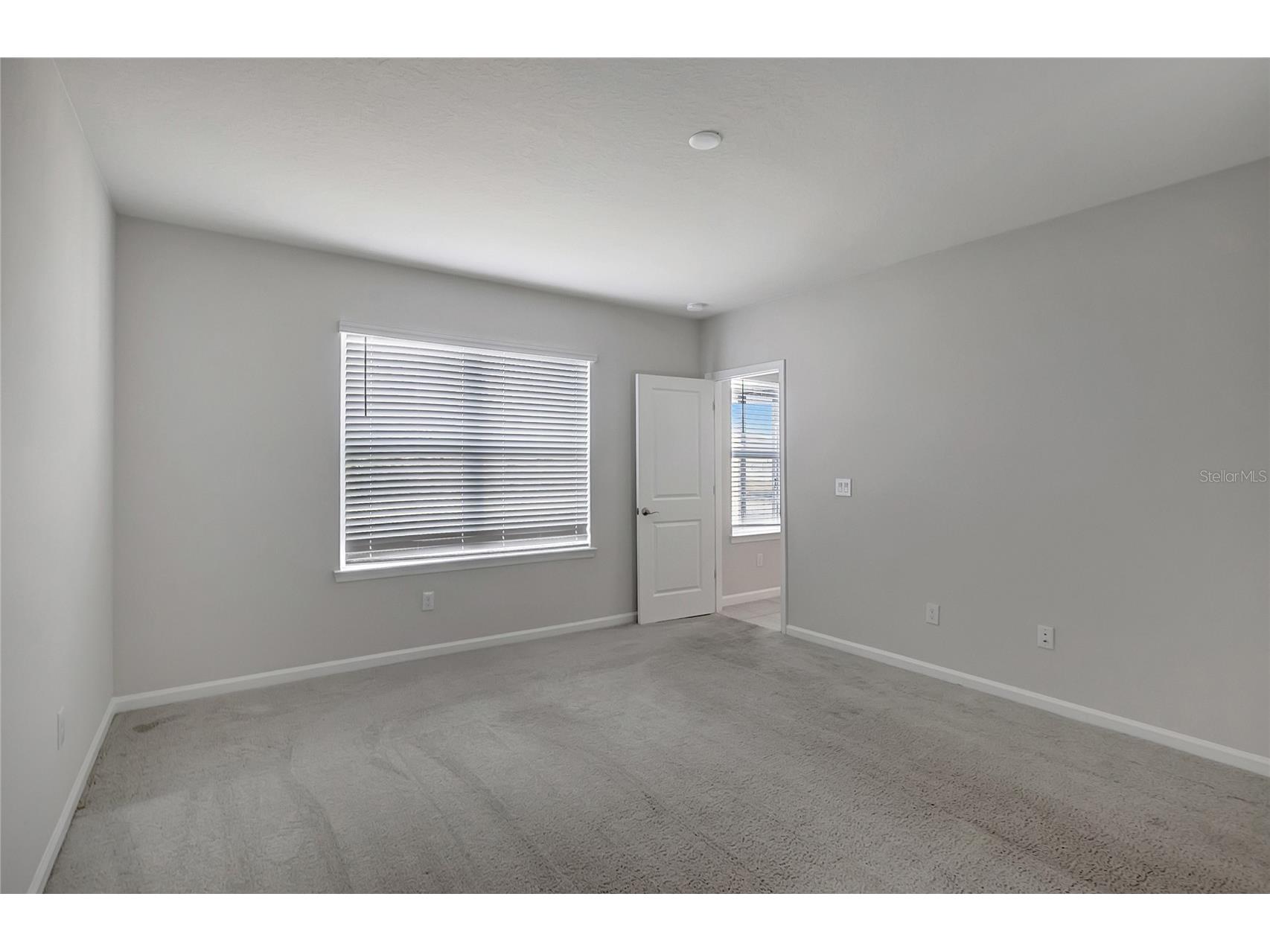 10209 Agave Court Land O Lakes FL 34638 TB8469366 image21