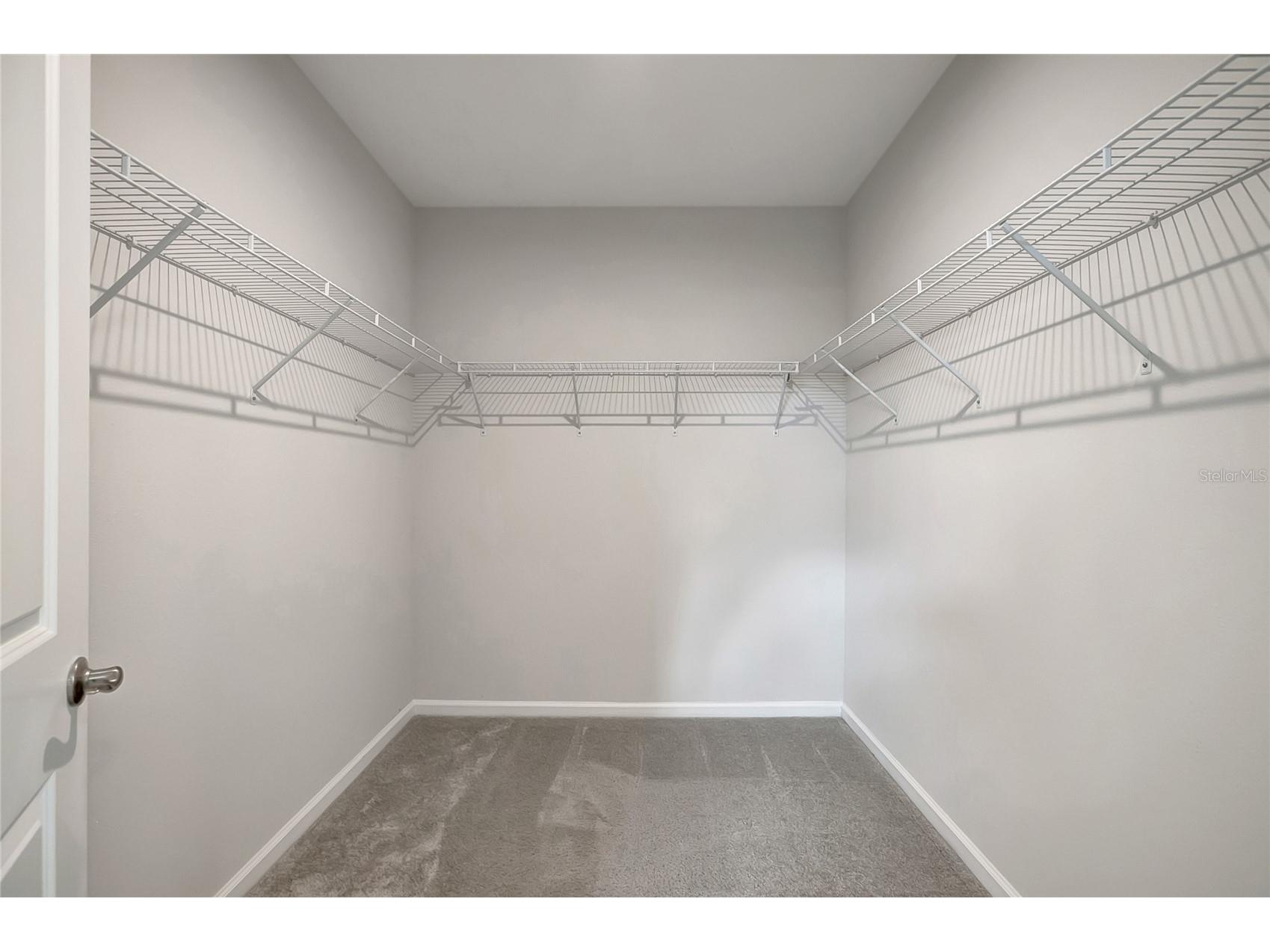 10209 Agave Court Land O Lakes FL 34638 TB8469366 image25