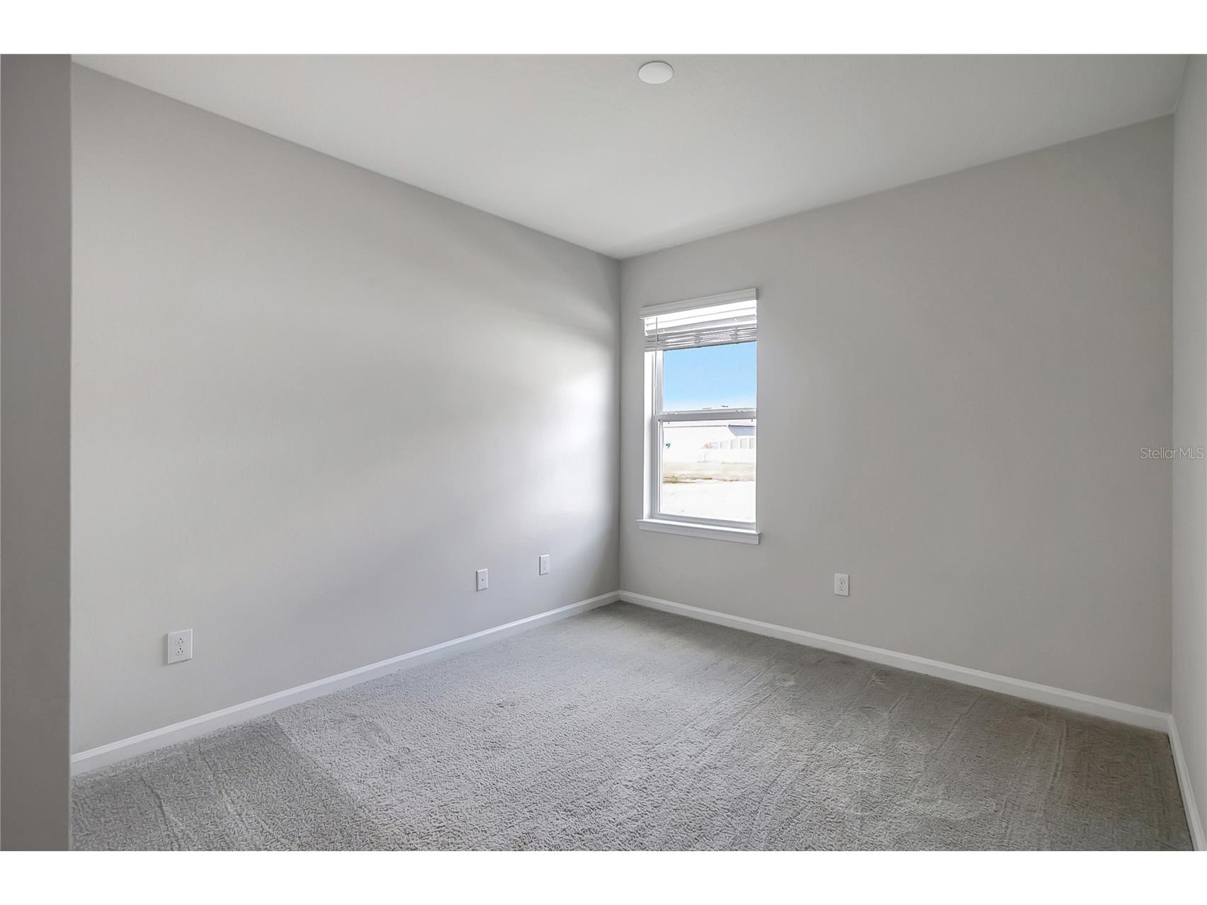 10209 Agave Court Land O Lakes FL 34638 TB8469366 image26