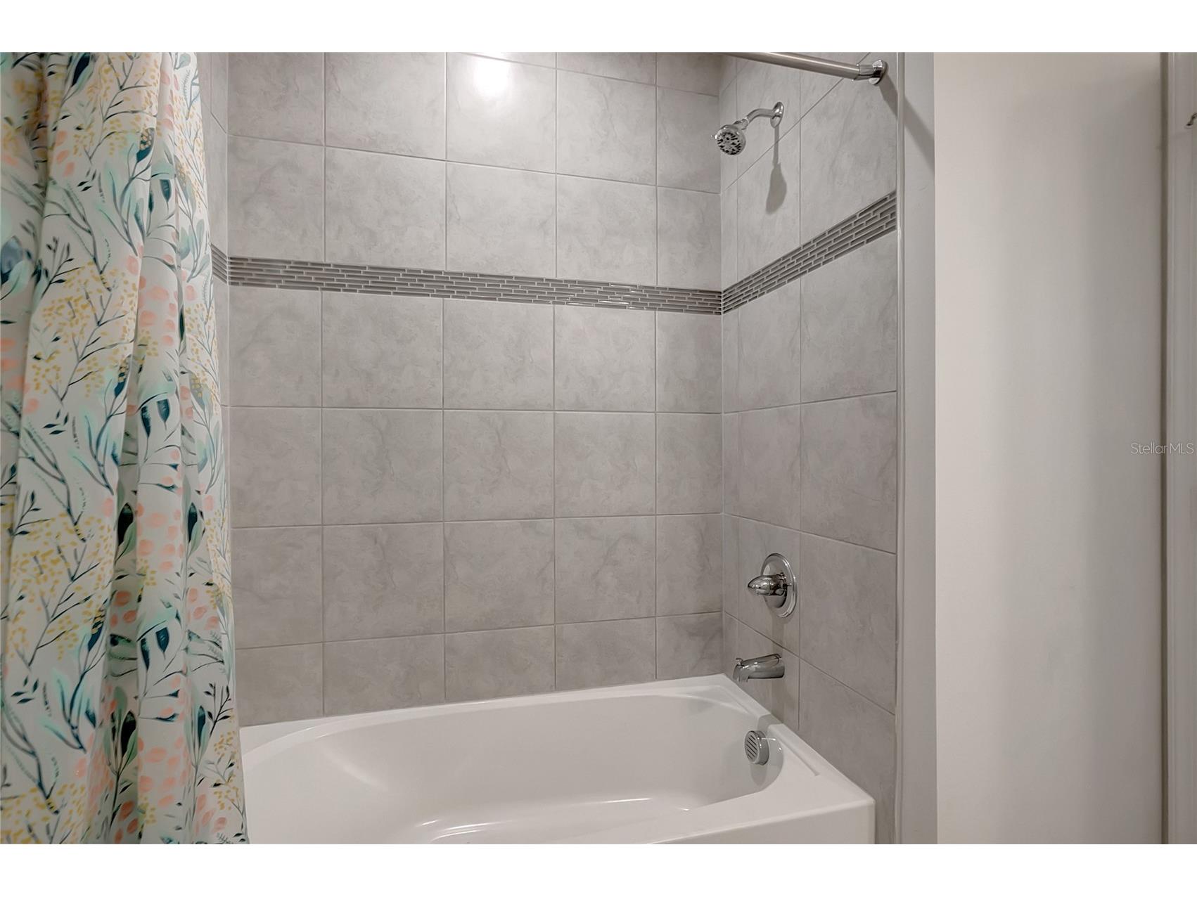 10209 Agave Court Land O Lakes FL 34638 TB8469366 image29