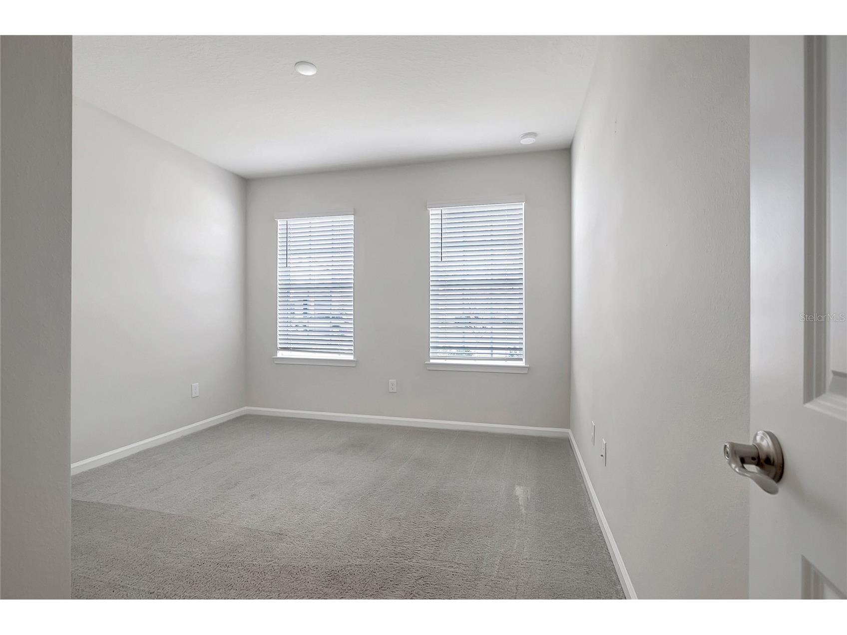 10209 Agave Court Land O Lakes FL 34638 TB8469366 image30