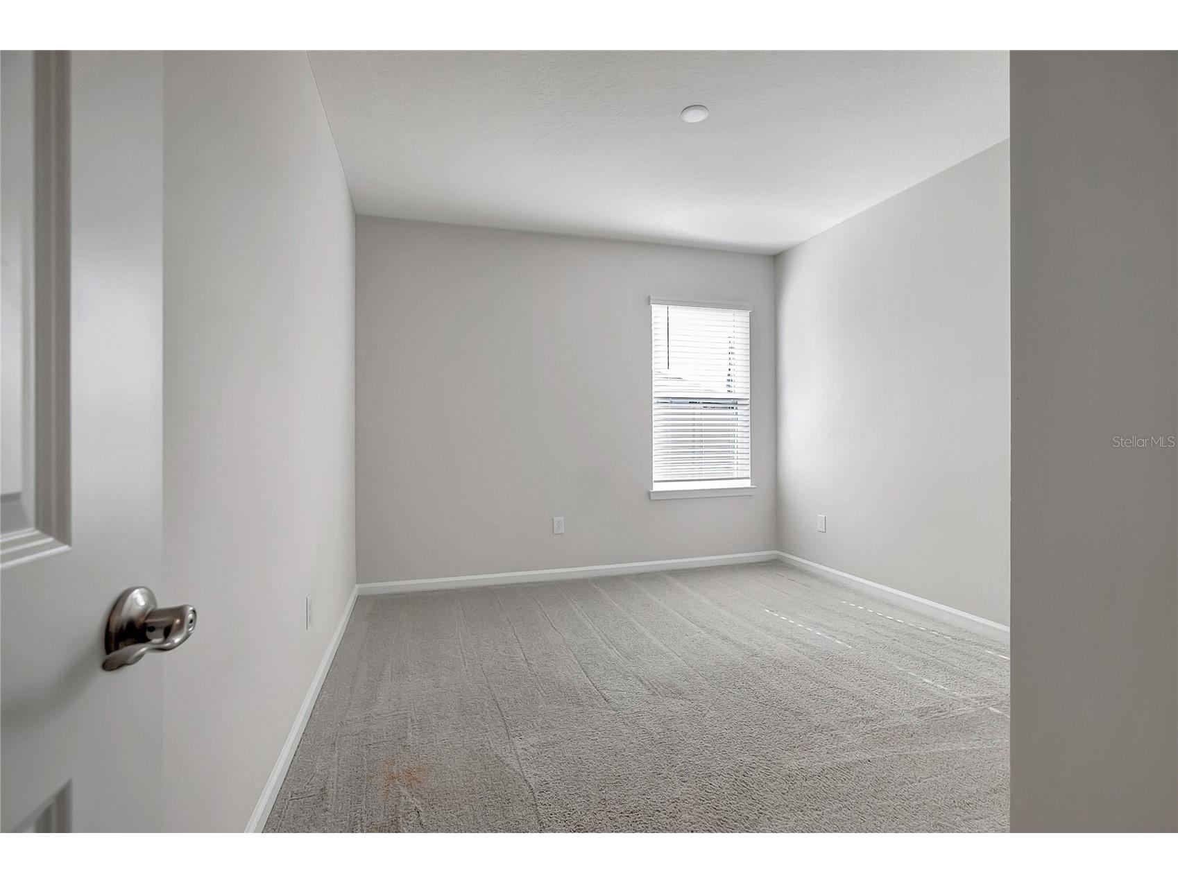 10209 Agave Court Land O Lakes FL 34638 TB8469366 image32