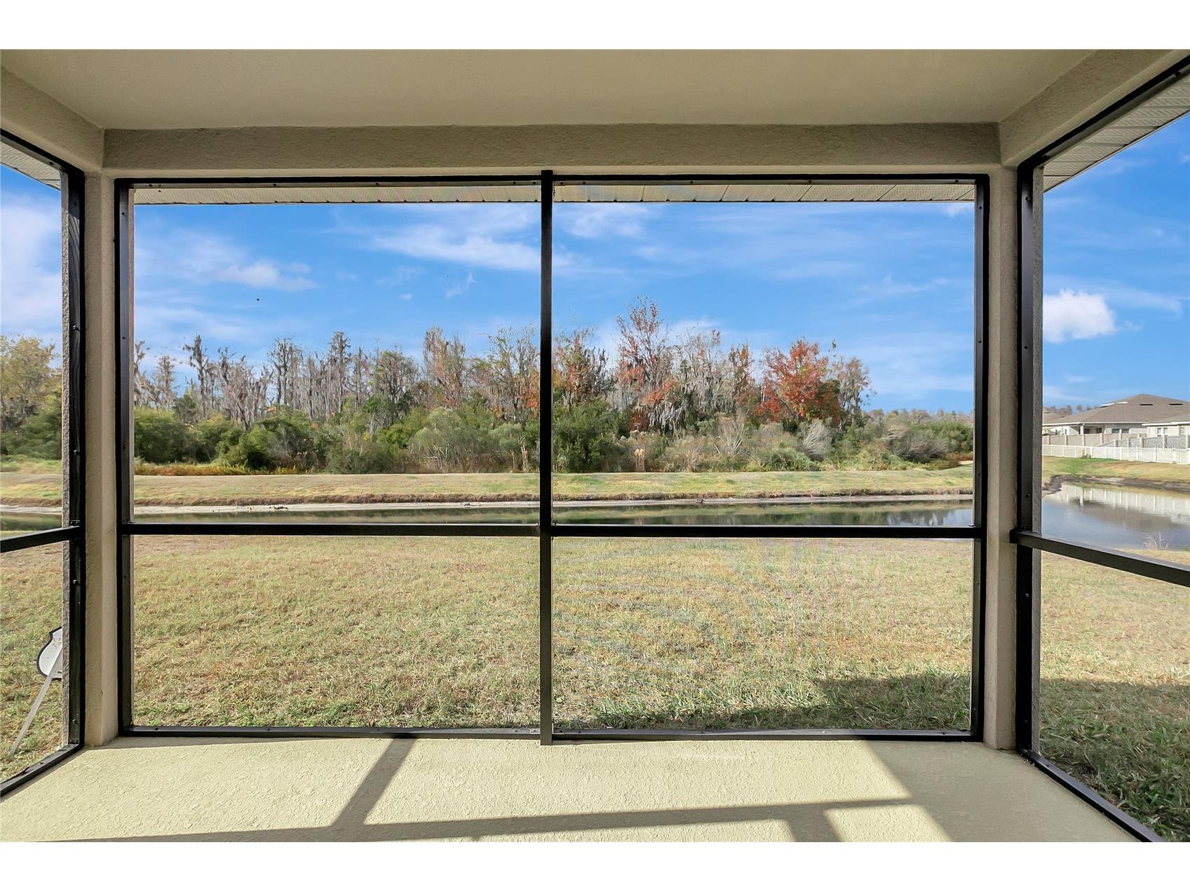 10209 Agave Court Land O Lakes FL 34638 TB8469366 image36